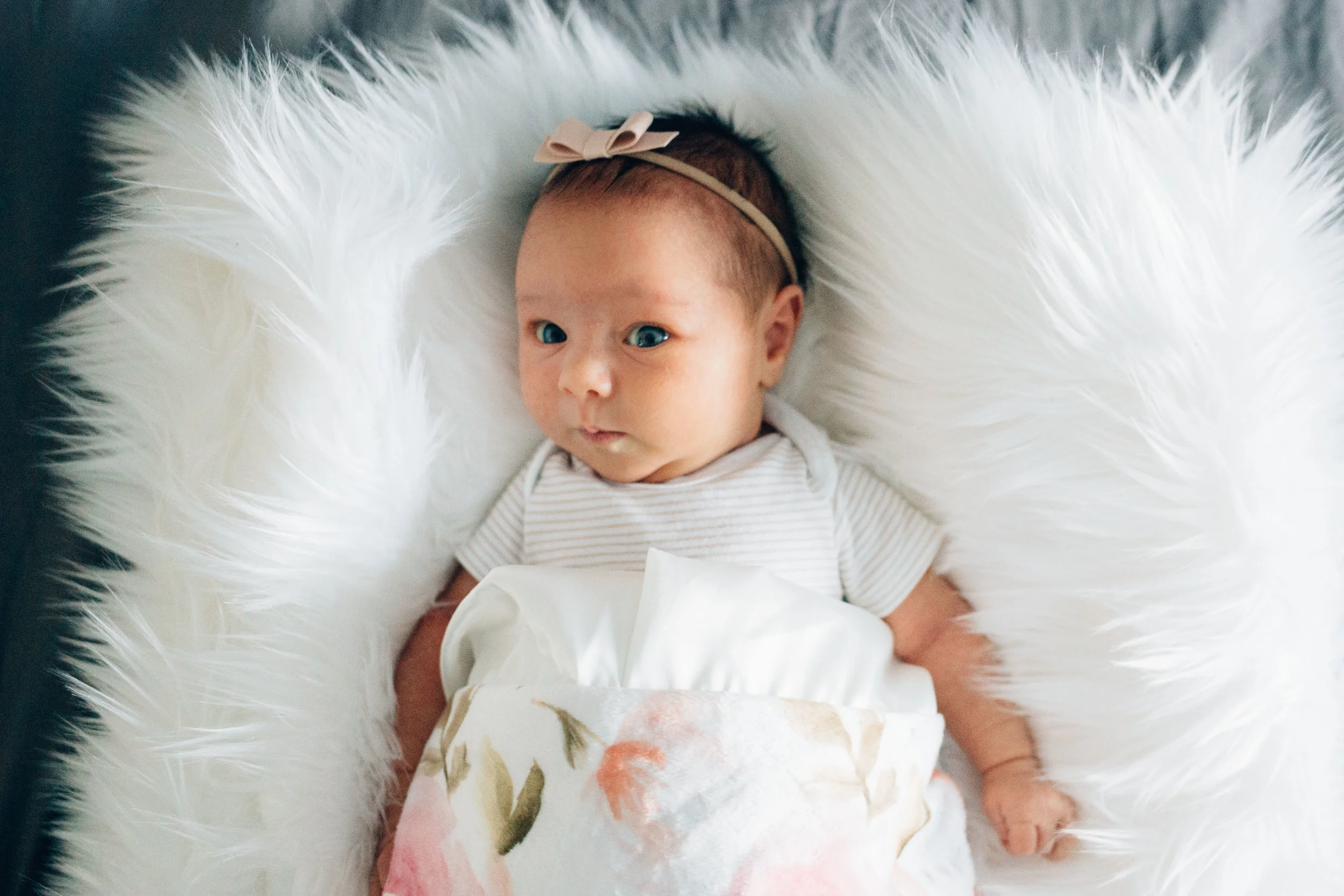 untitled shoot-055-2.jpg