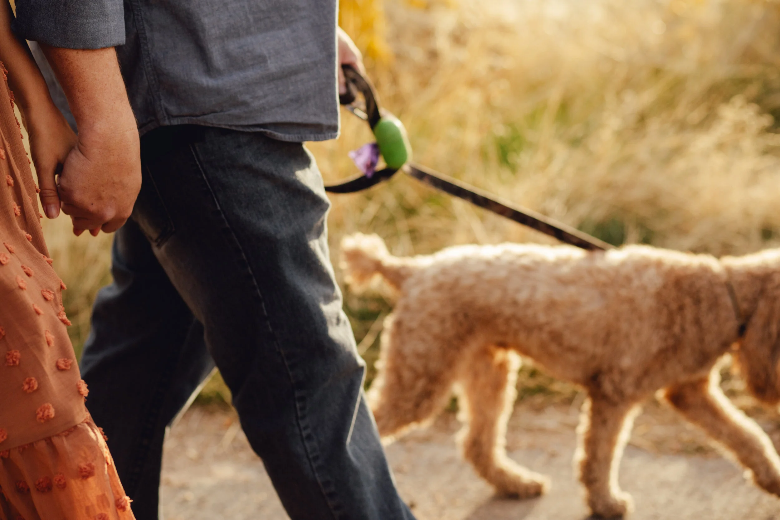 Ballards and October 2019-708.jpg