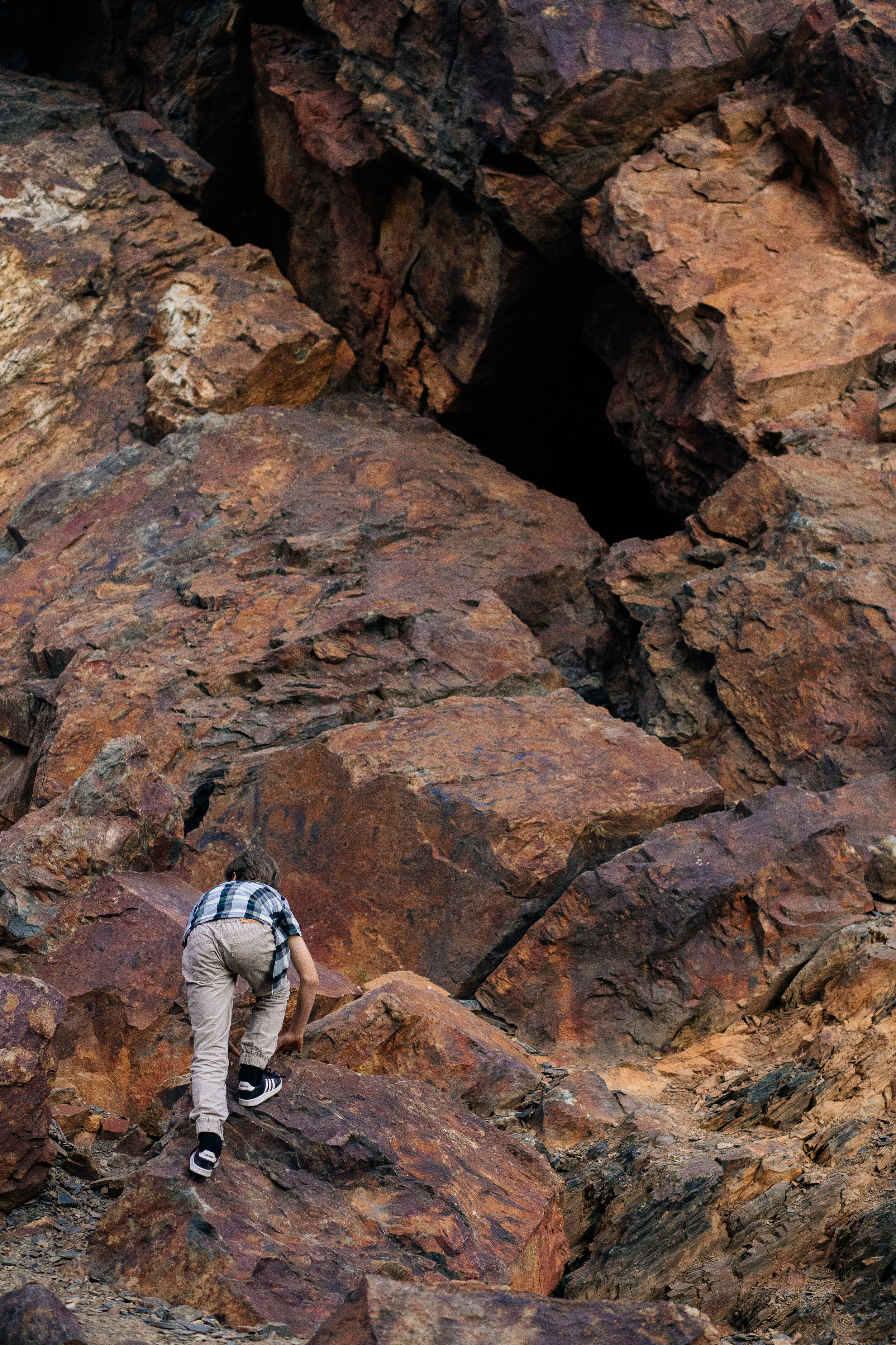 Taylor Family May 2020-2356.jpg