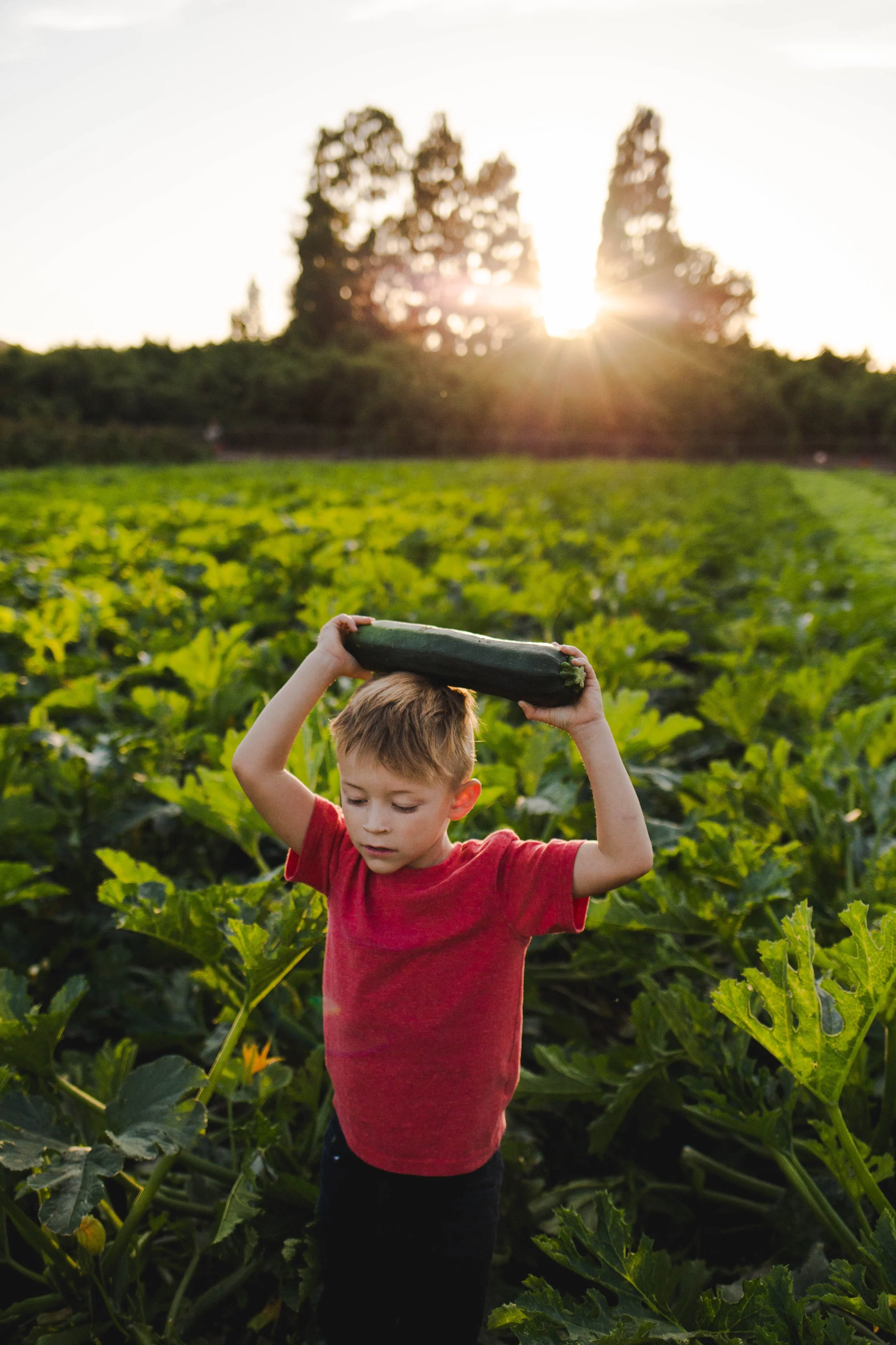 pumpkin patch-412.jpg