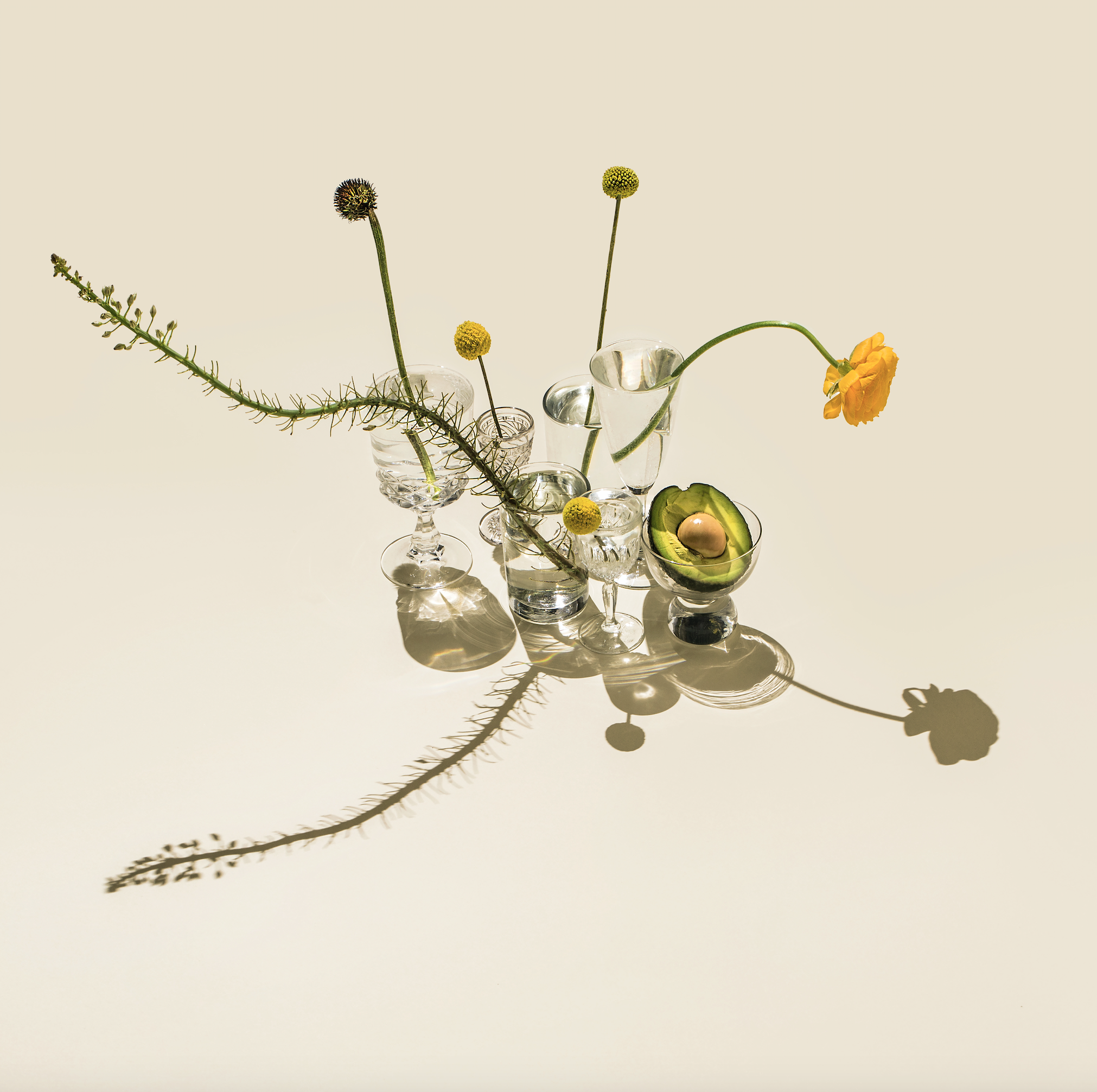 Screen Shot 2017-09-24 at 3.16.15 PM.png