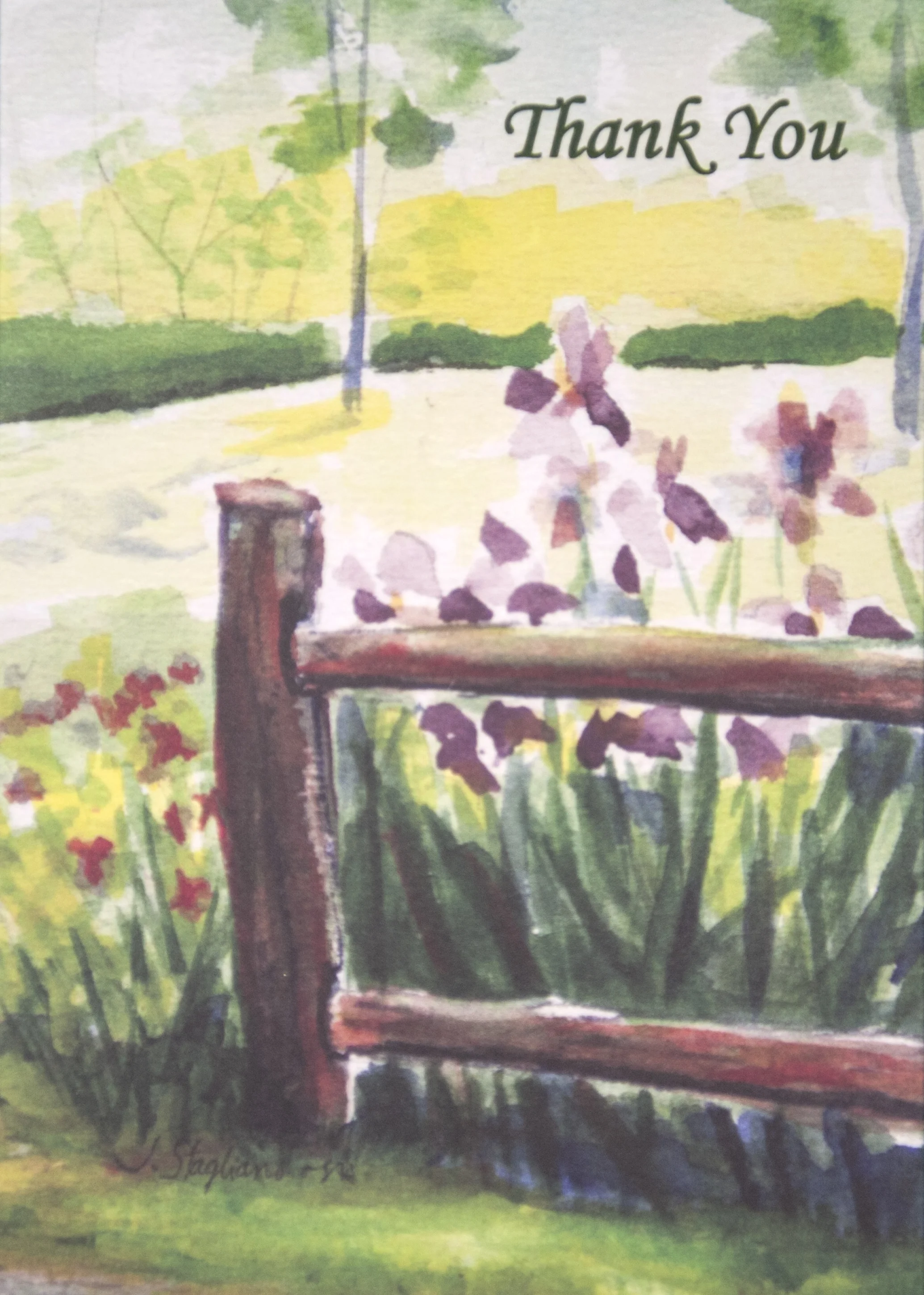 THANK YOU Suggested donation: $10.00 Size: 5 x 7 This Mass card asks for God’s blessings on a person for their kindness.