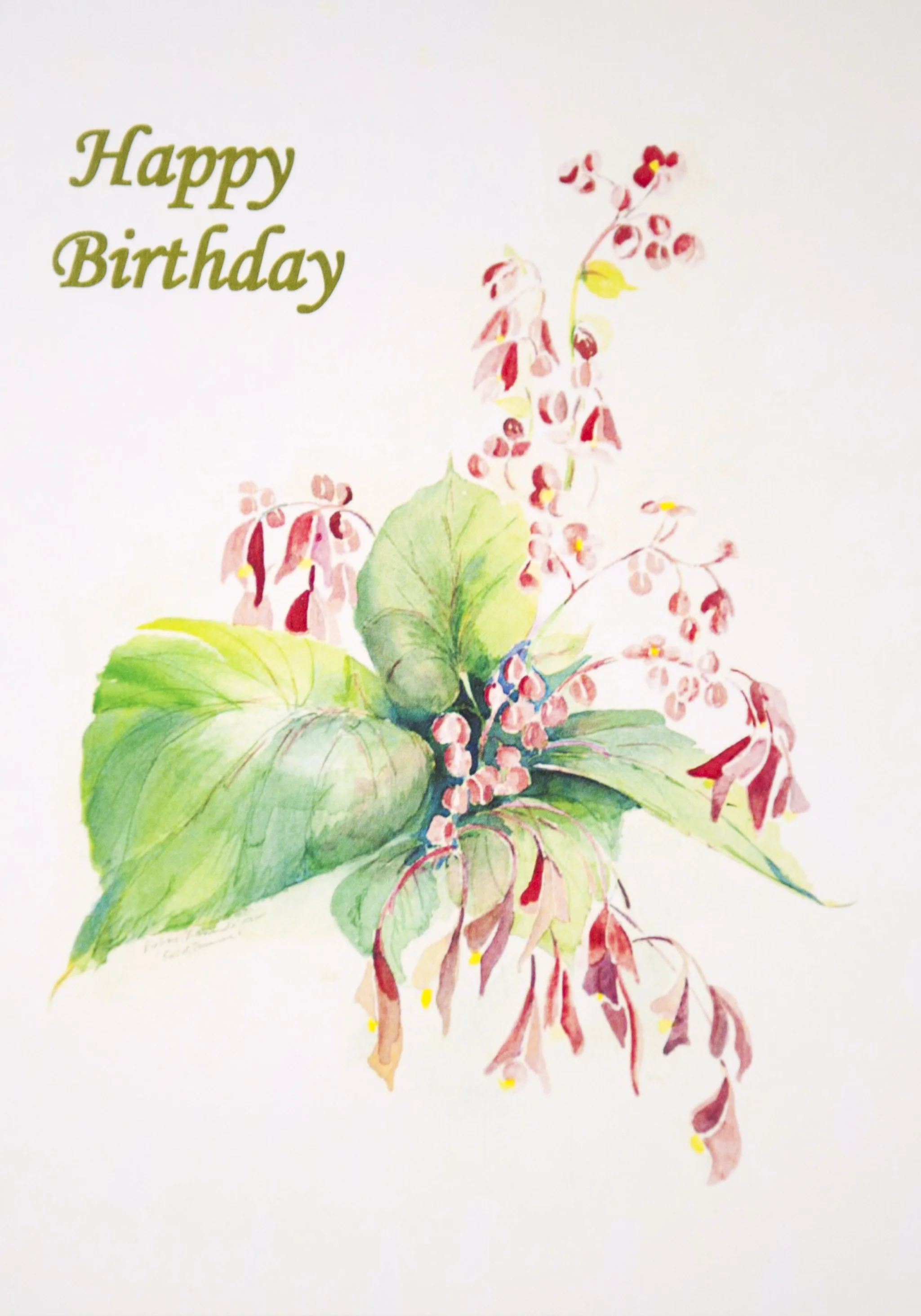 HAPPY BIRTHDAY Suggested donation: $10.00 Size: 5 x 7 This Mass card celebrates a birthday. Cover features “End of Summer.”