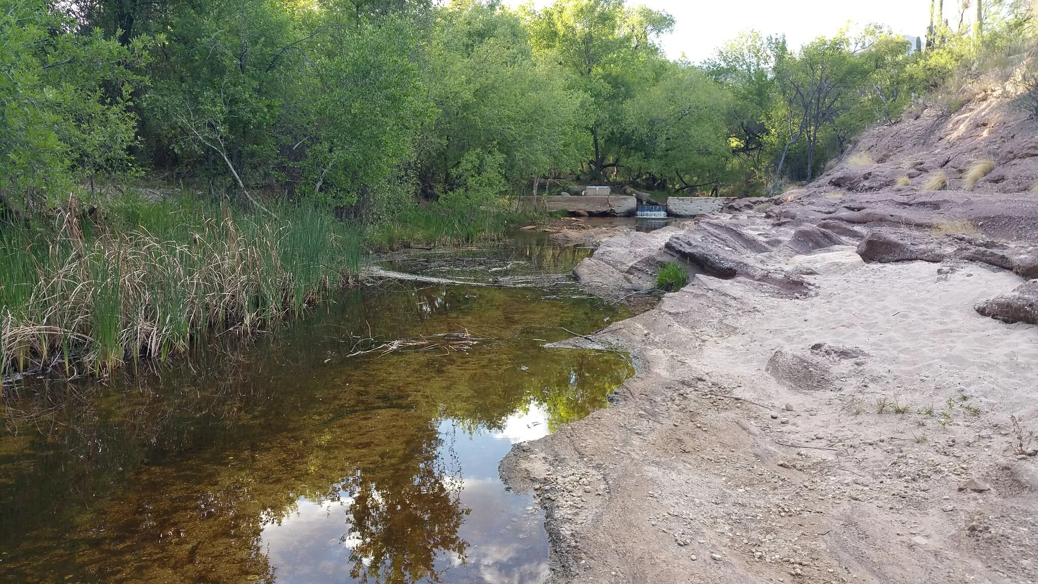 View of Lower Sabino Creek