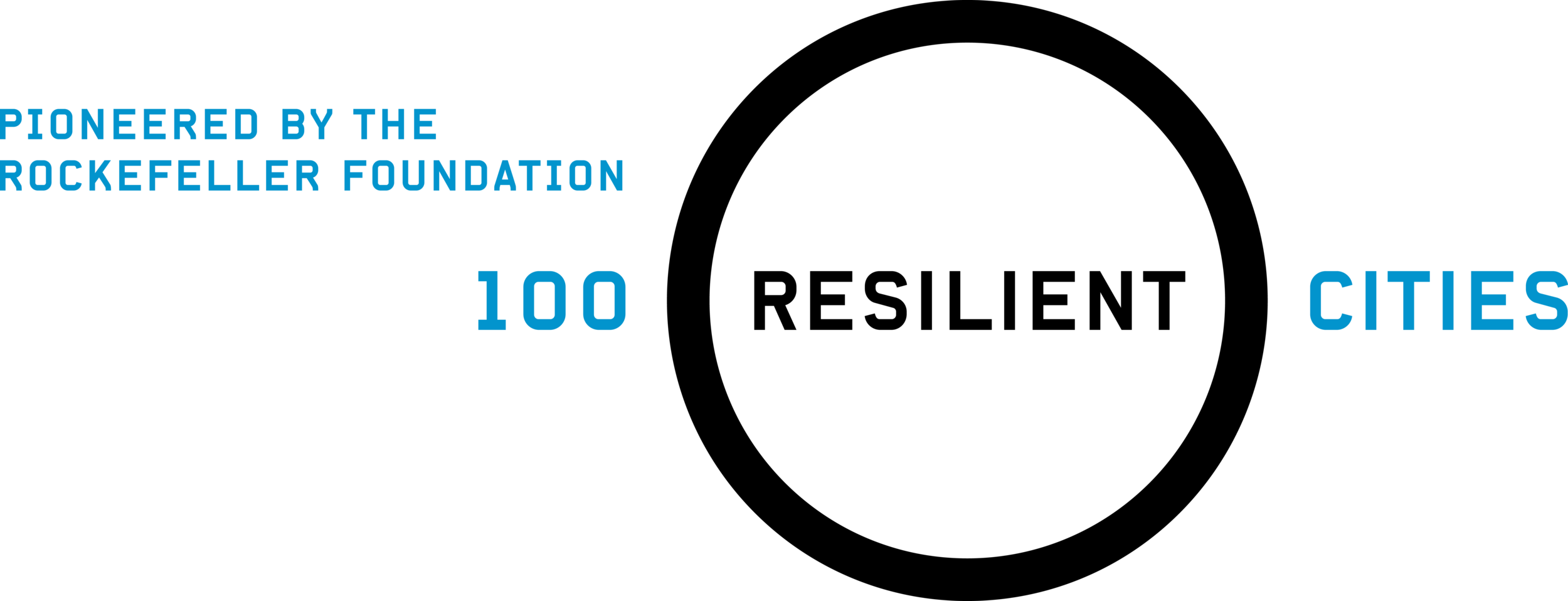 Thank you to our partner, 100 Resilient Cities