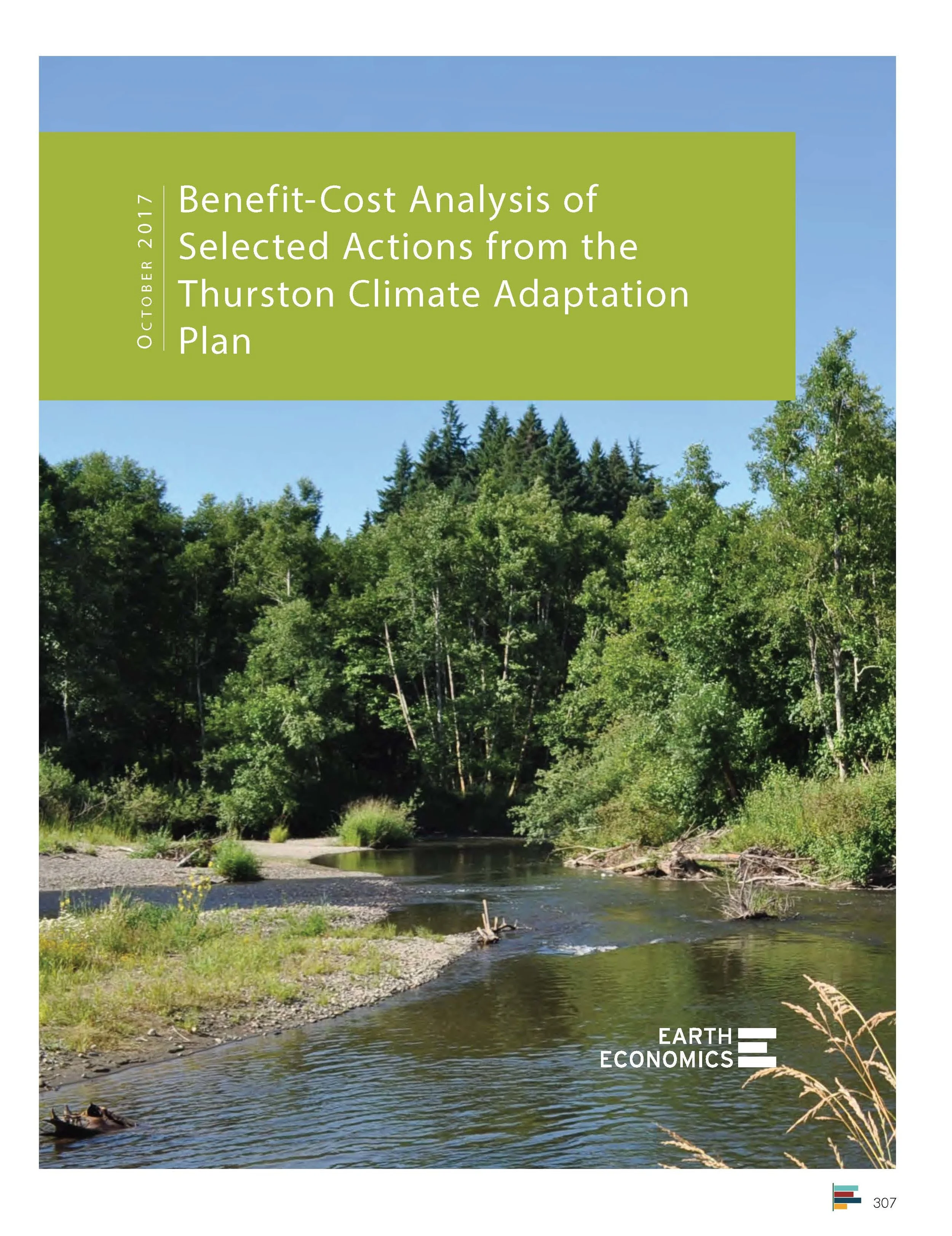 Cover_ActionBenefitCostAnalyses_EarthEconomics_Oct2017.jpg