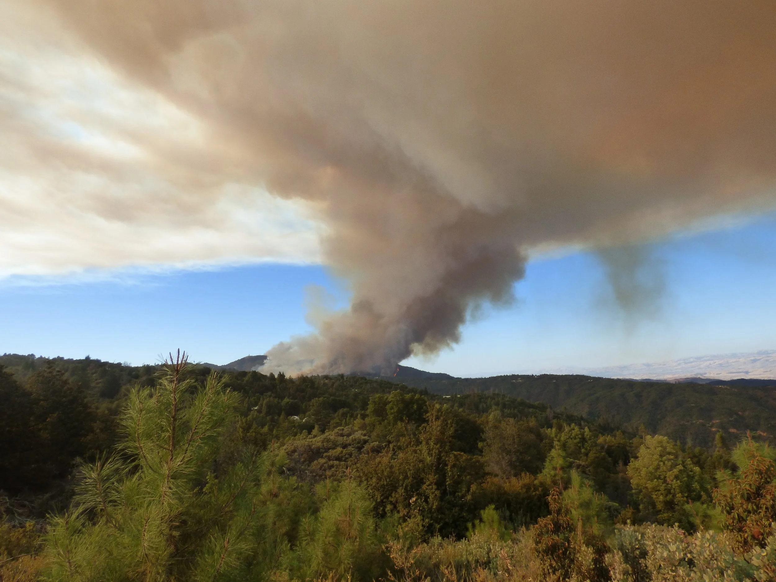 CA-LomaFire_SantaCruz-ForestFire.jpg