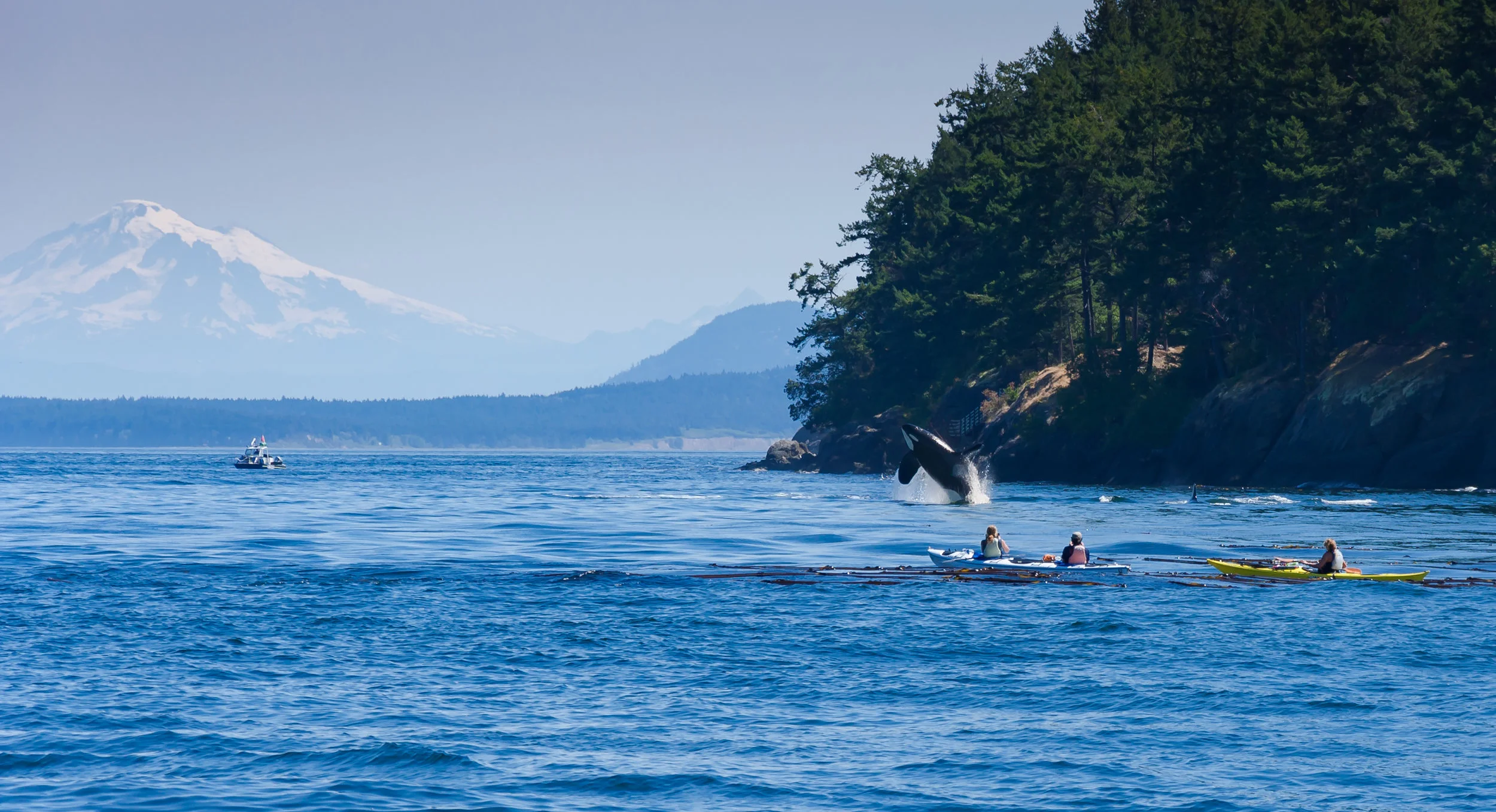 AdobeStock_94265446_PNW.jpeg