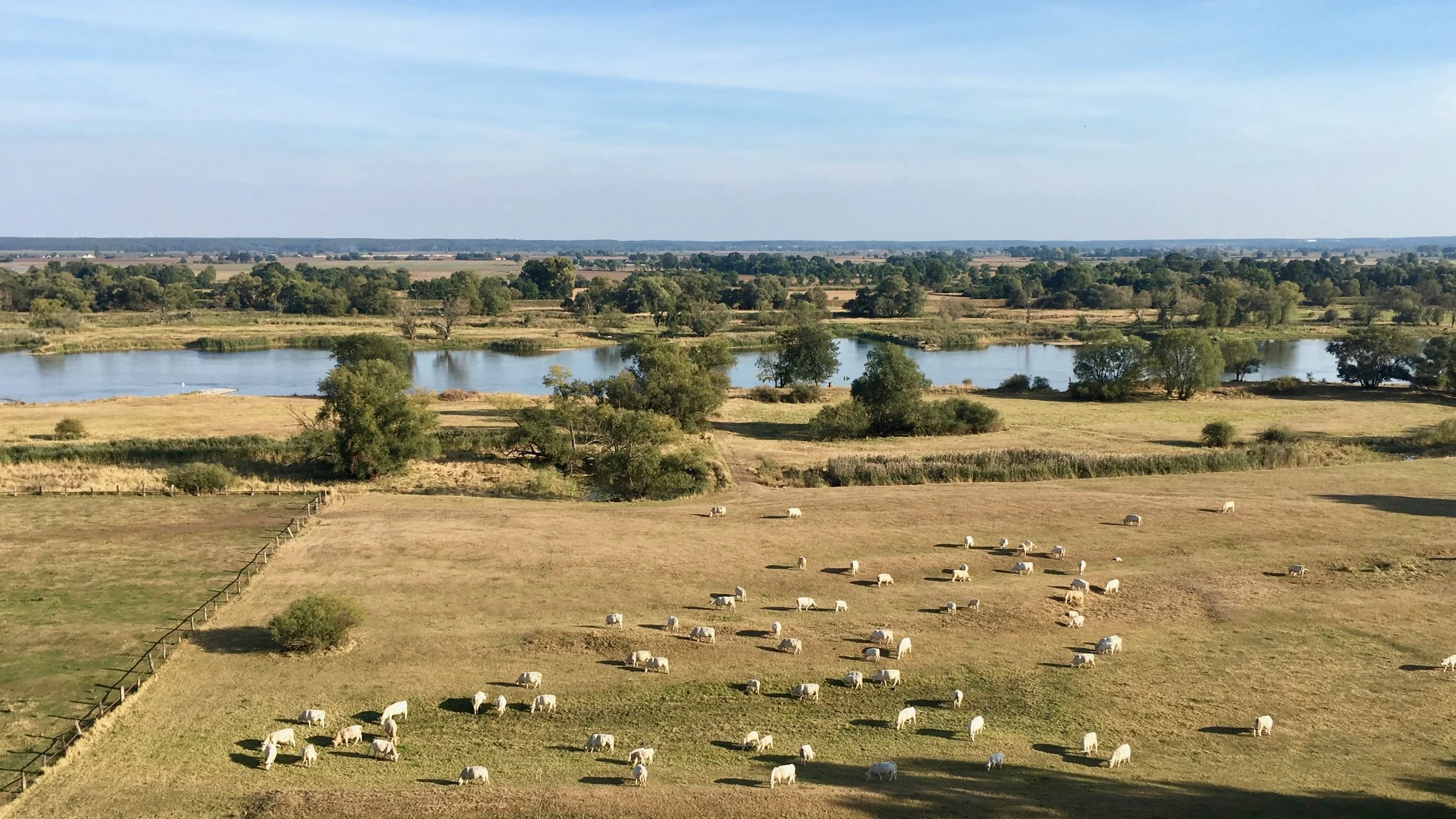 floodplain-2790299.jpg