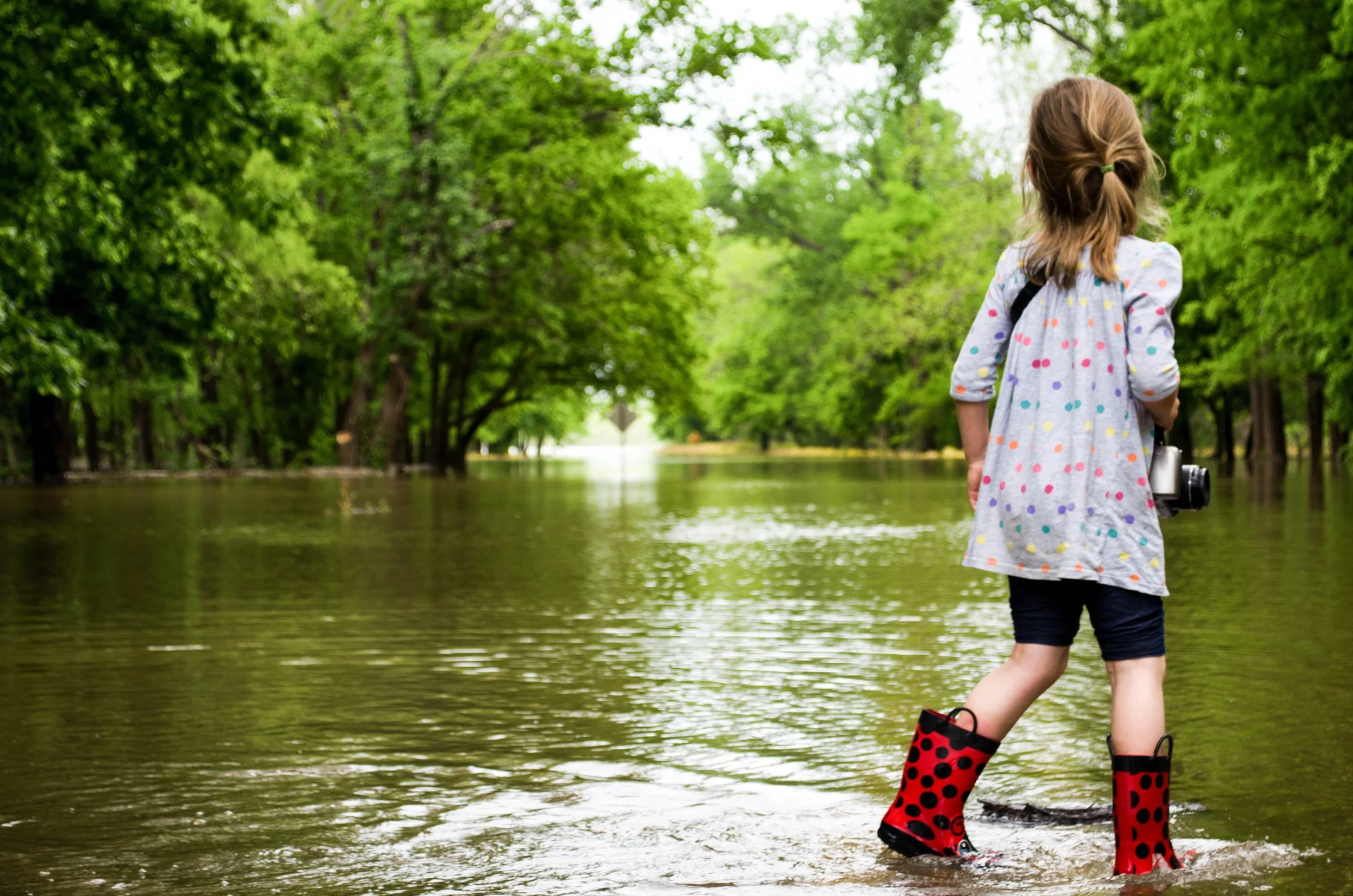 FloodedNeighborhood.jpg