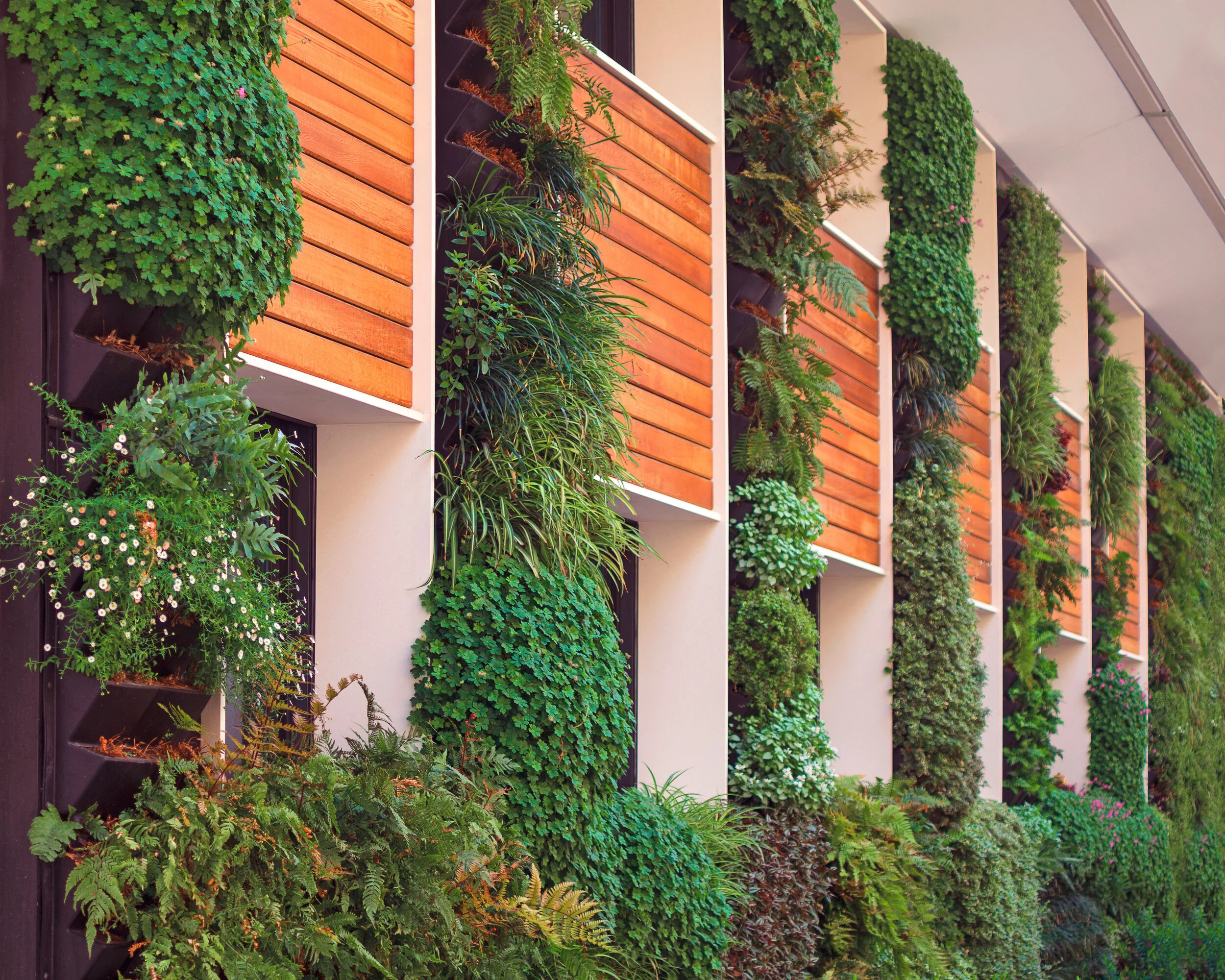 EcologicalArchitecture_AdobeStock_74138290.jpeg