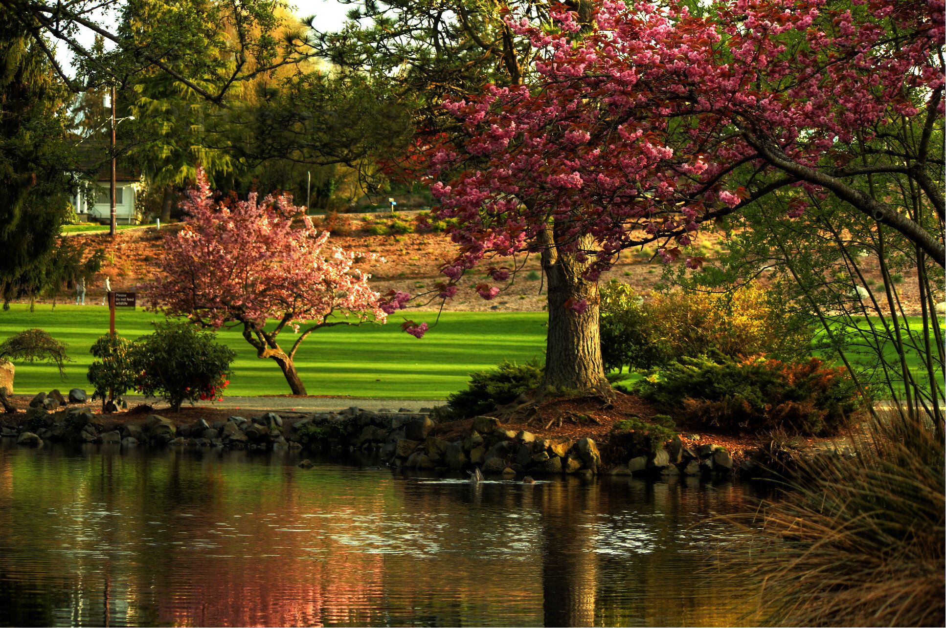 Urban Heat Island Analysis: Tacoma, Washington