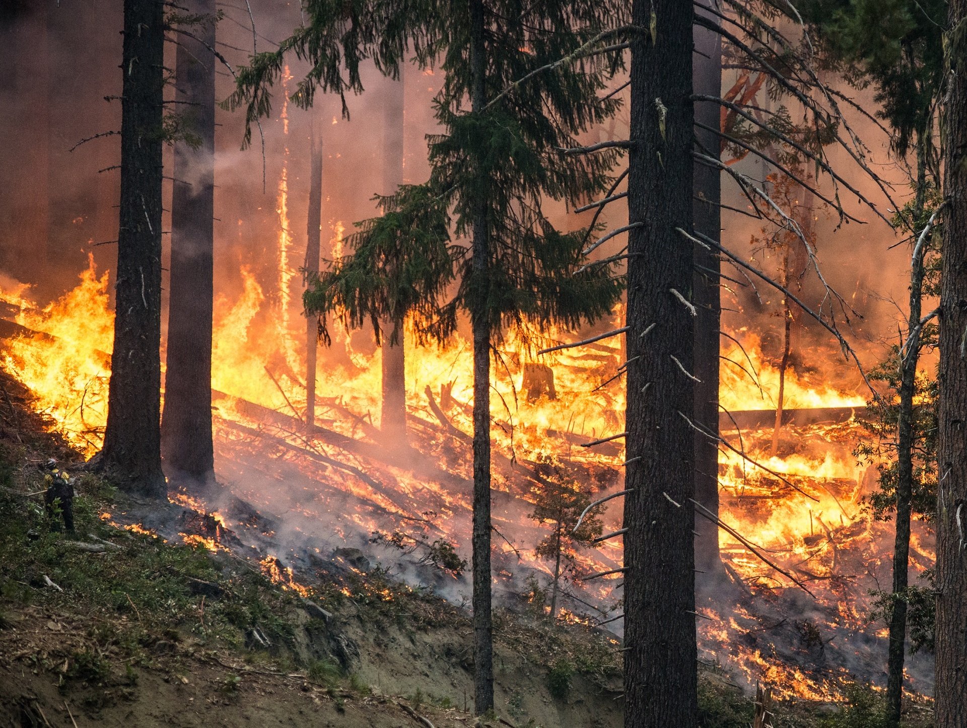 Advancing Innovative Wildfire Mitigation Solutions