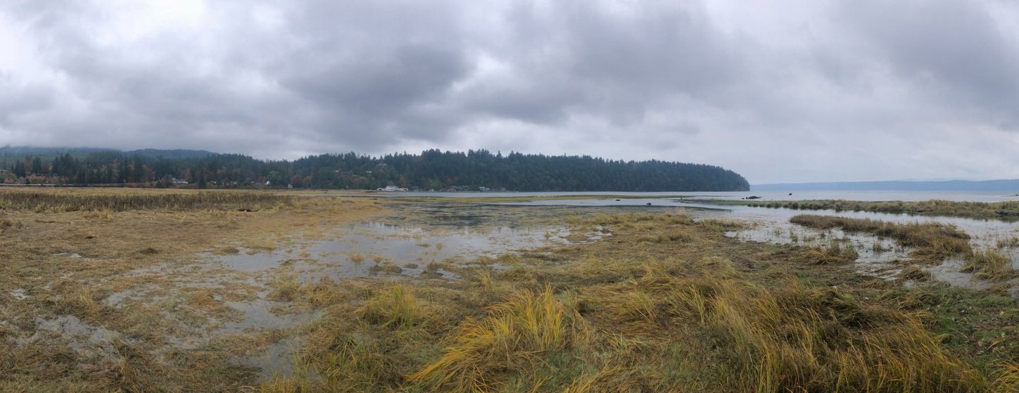 The Value of Protecting and Restoring the Duckabush Estuary