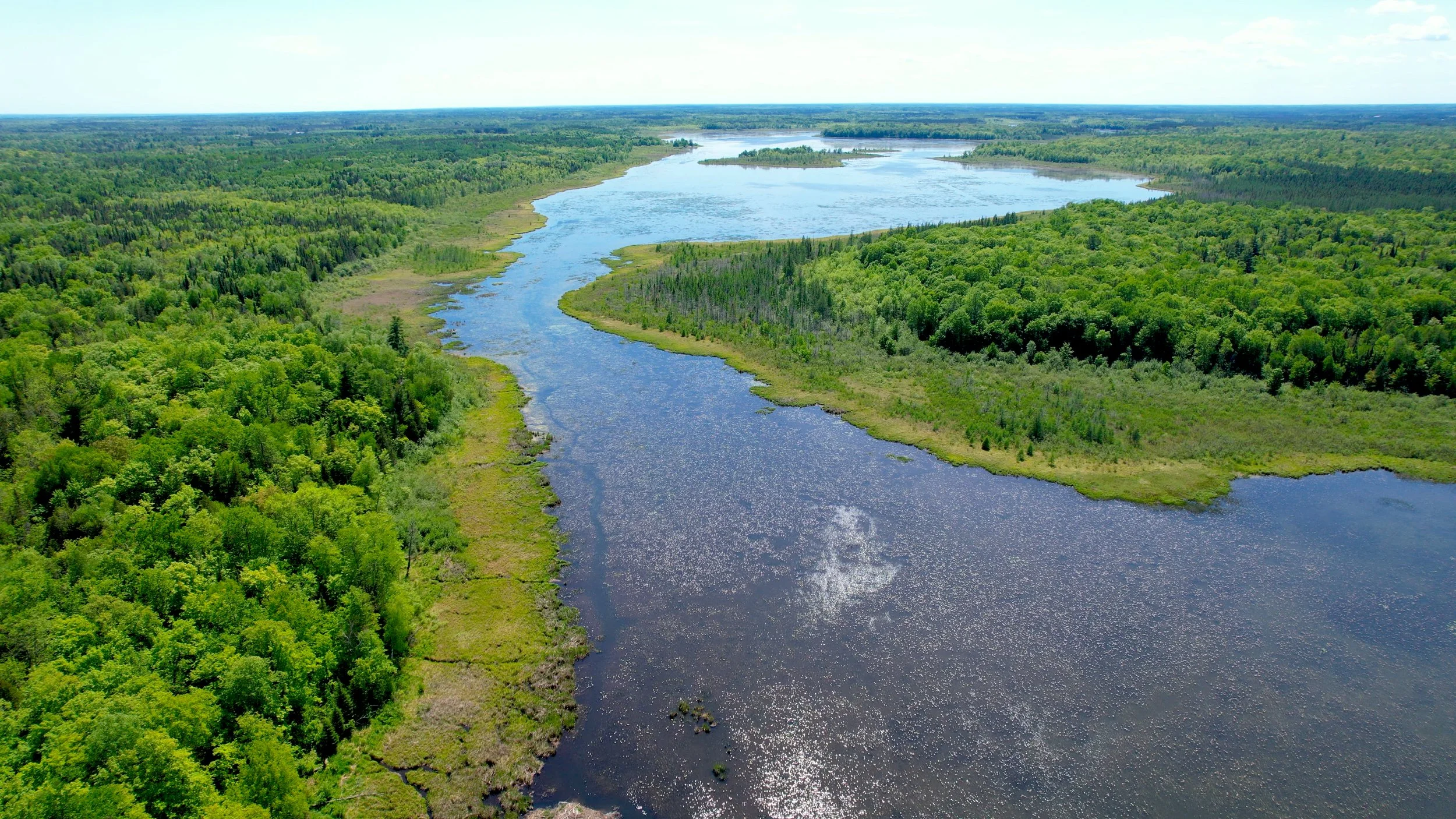 The Value of Natural Climate Solutions in Minnesota