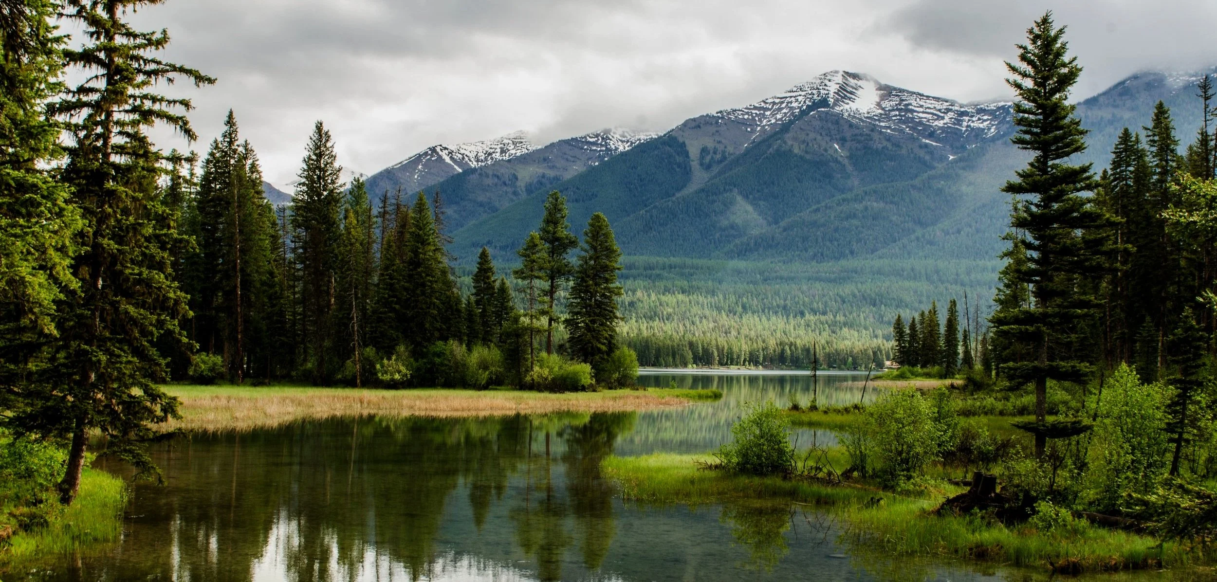 Our Response to OMB's Draft Guidance on Ecosystem Services