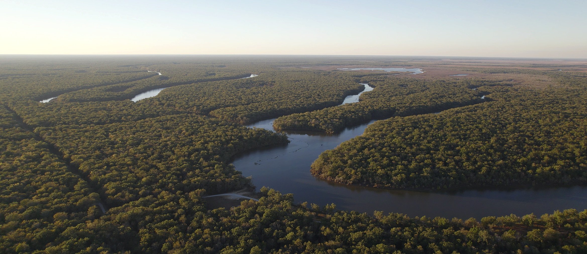 The Value of Restoring Forested Wetlands