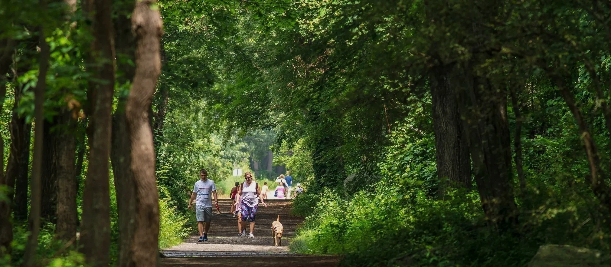 Ecosystem Services Supported by Land Trusts