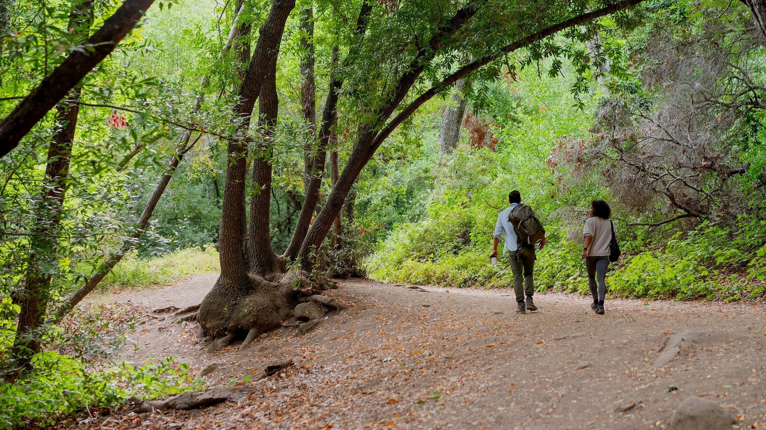 The Natural Capital Wealth of Santa Barbara County, CA