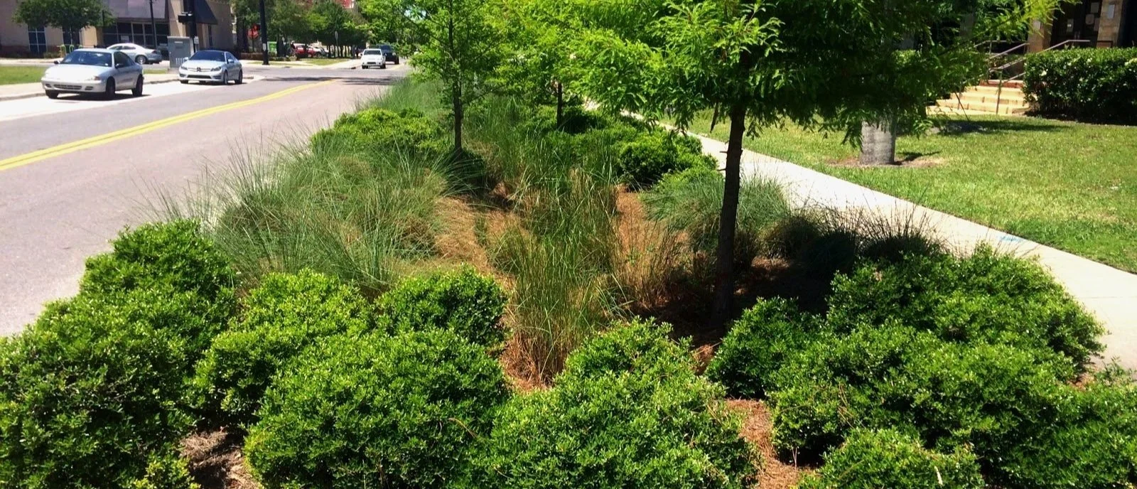 Making the Case for Nature-Based Solutions