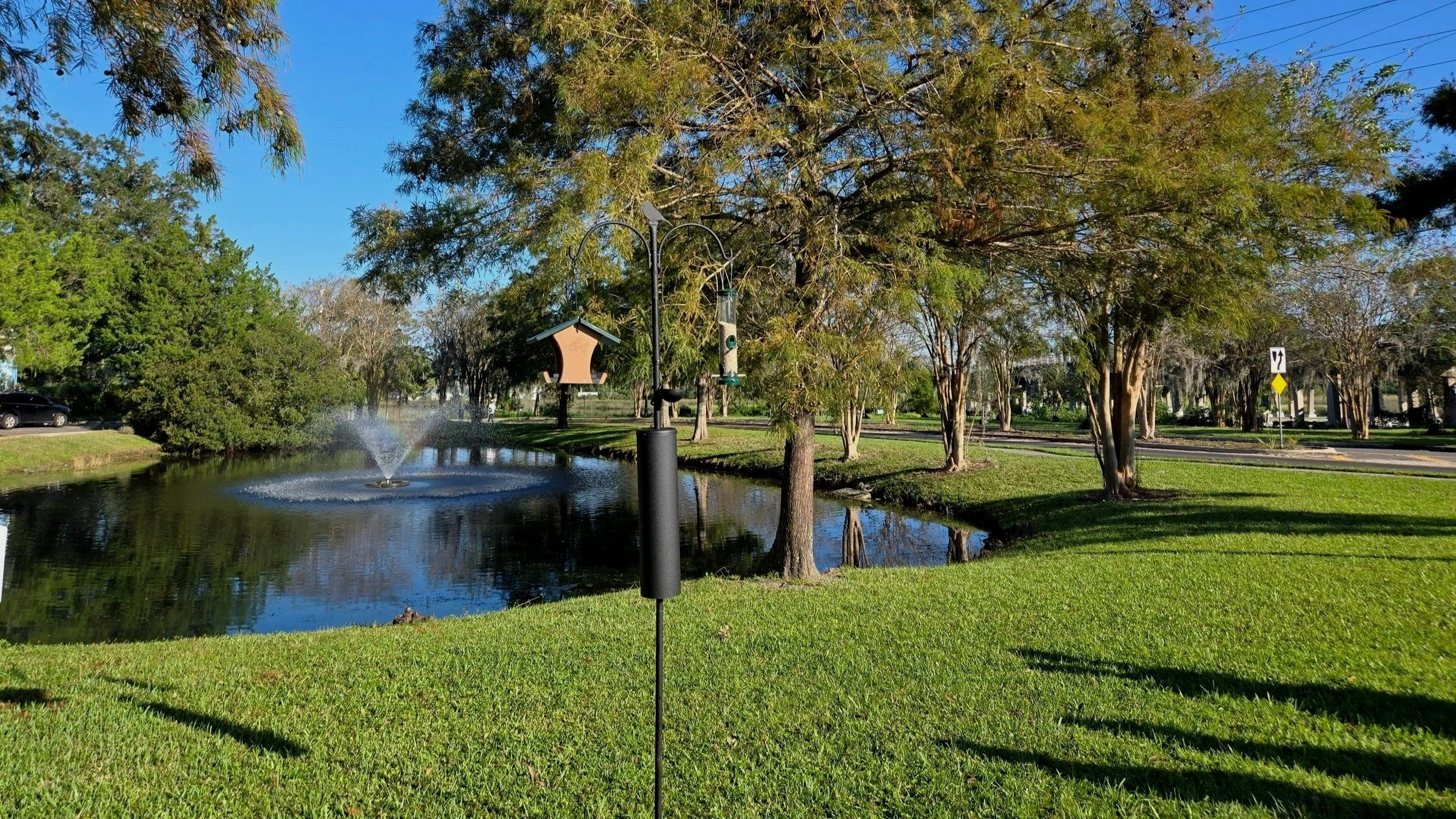 Rejuvenating a Community Park