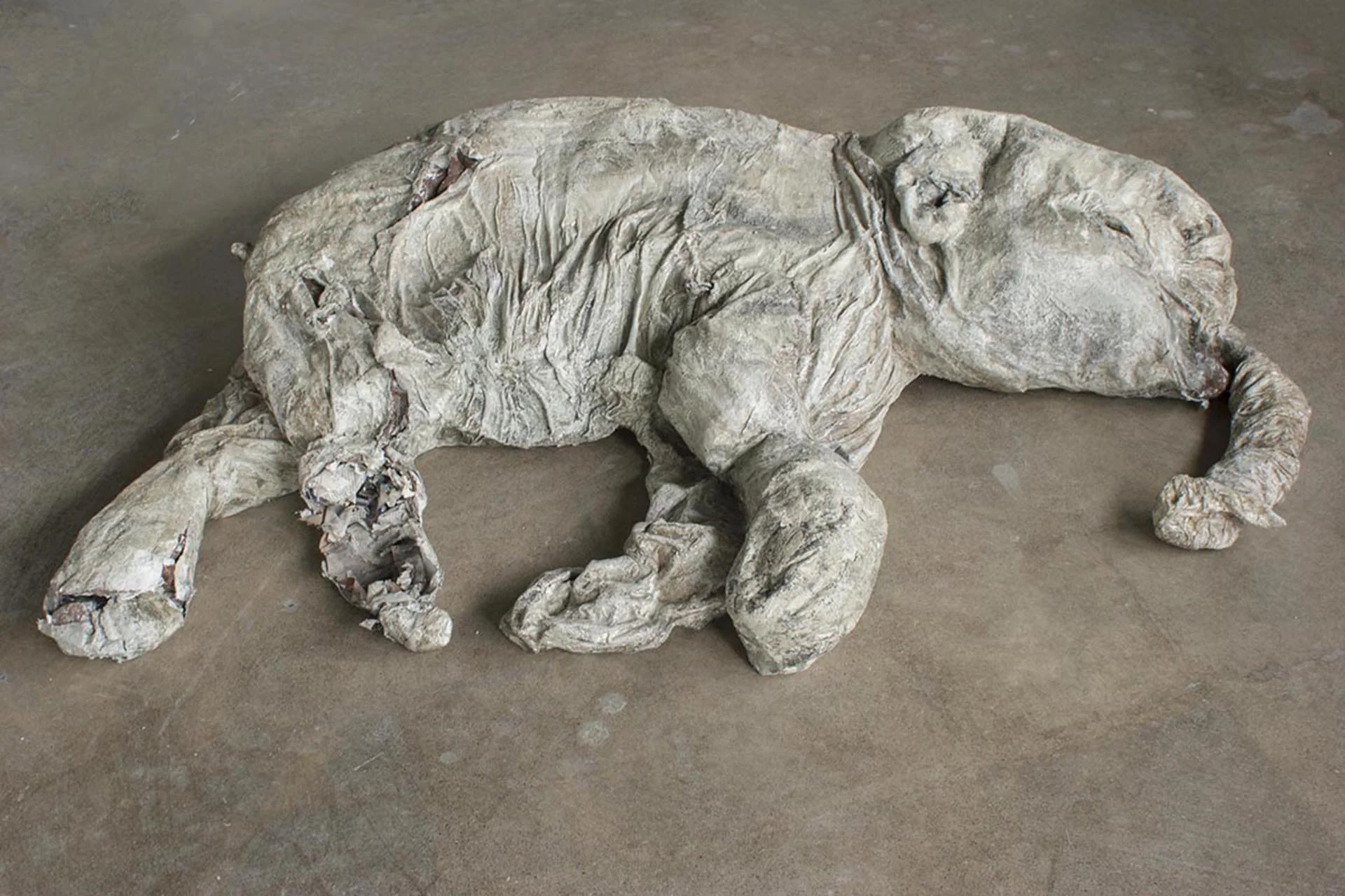 Lyuba (baby wholly mammoth)