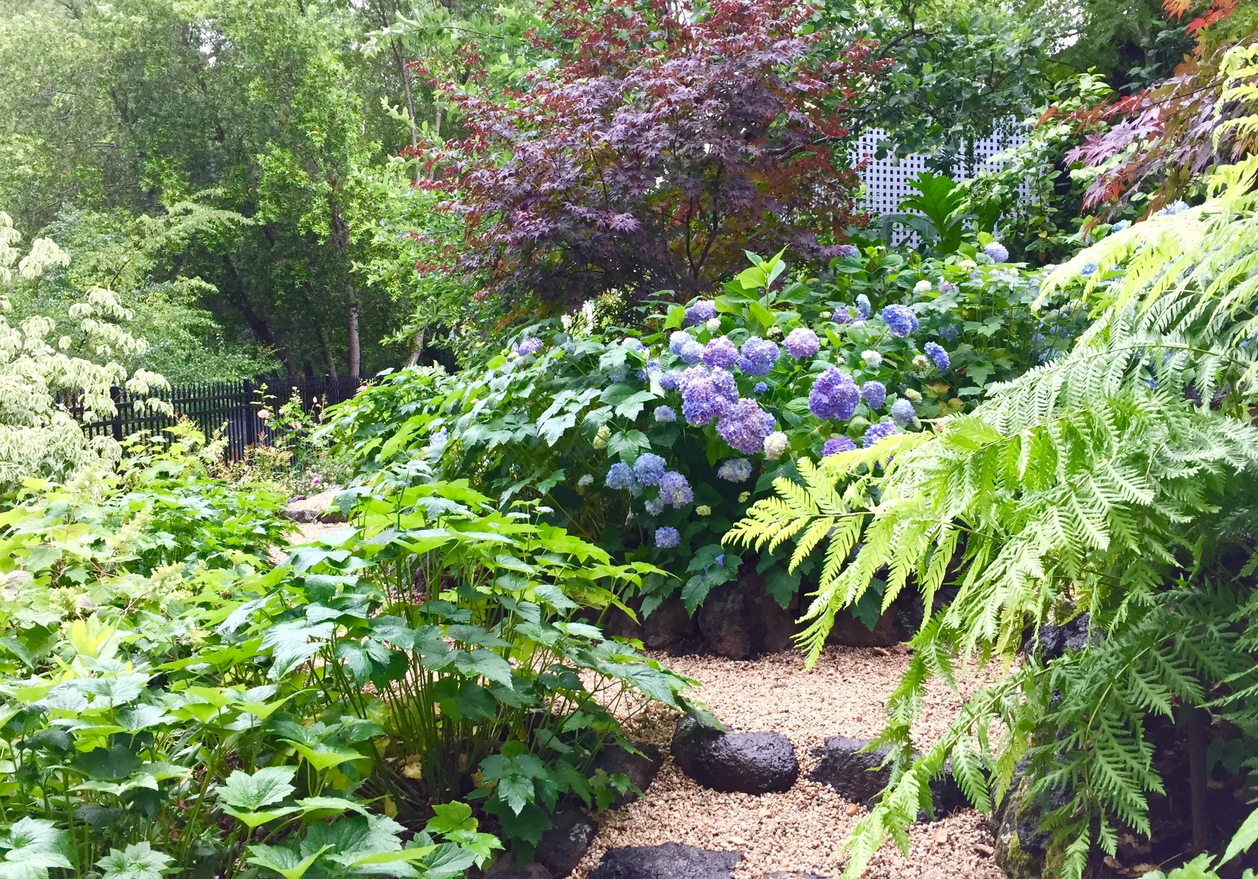 FullSizeRender (6).jpg