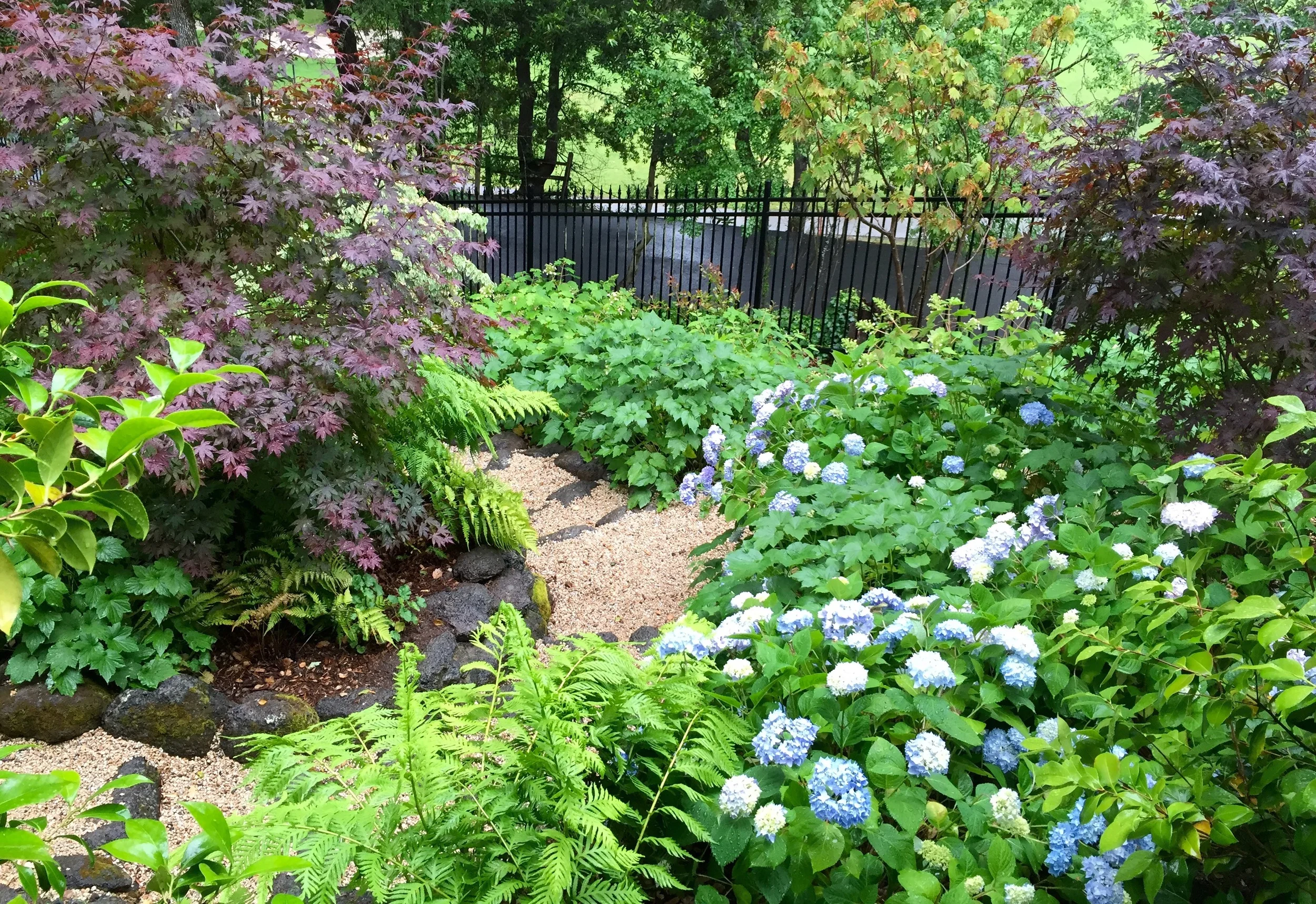 FullSizeRender (5).jpg