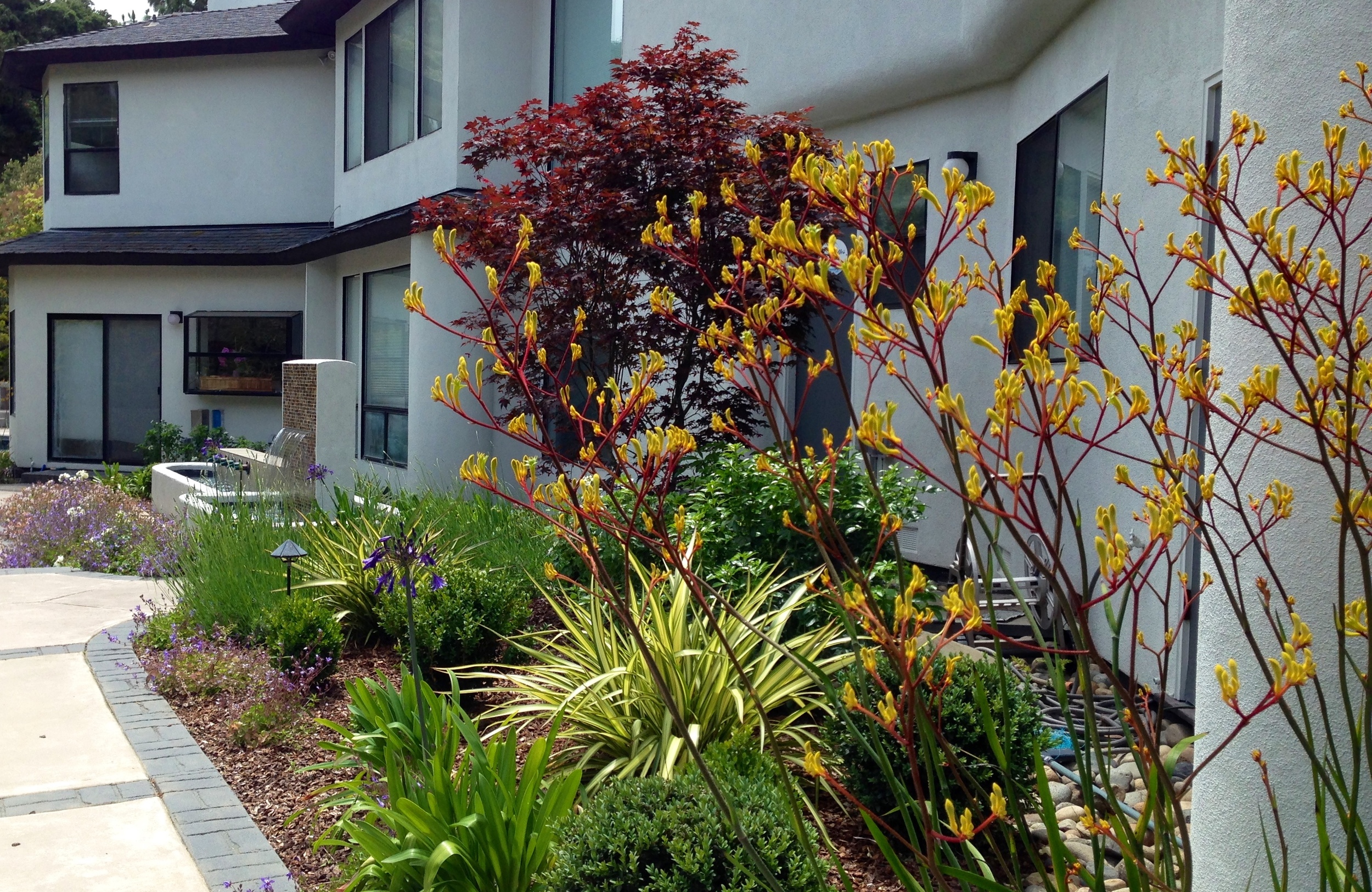 FullSizeRender (8).jpg