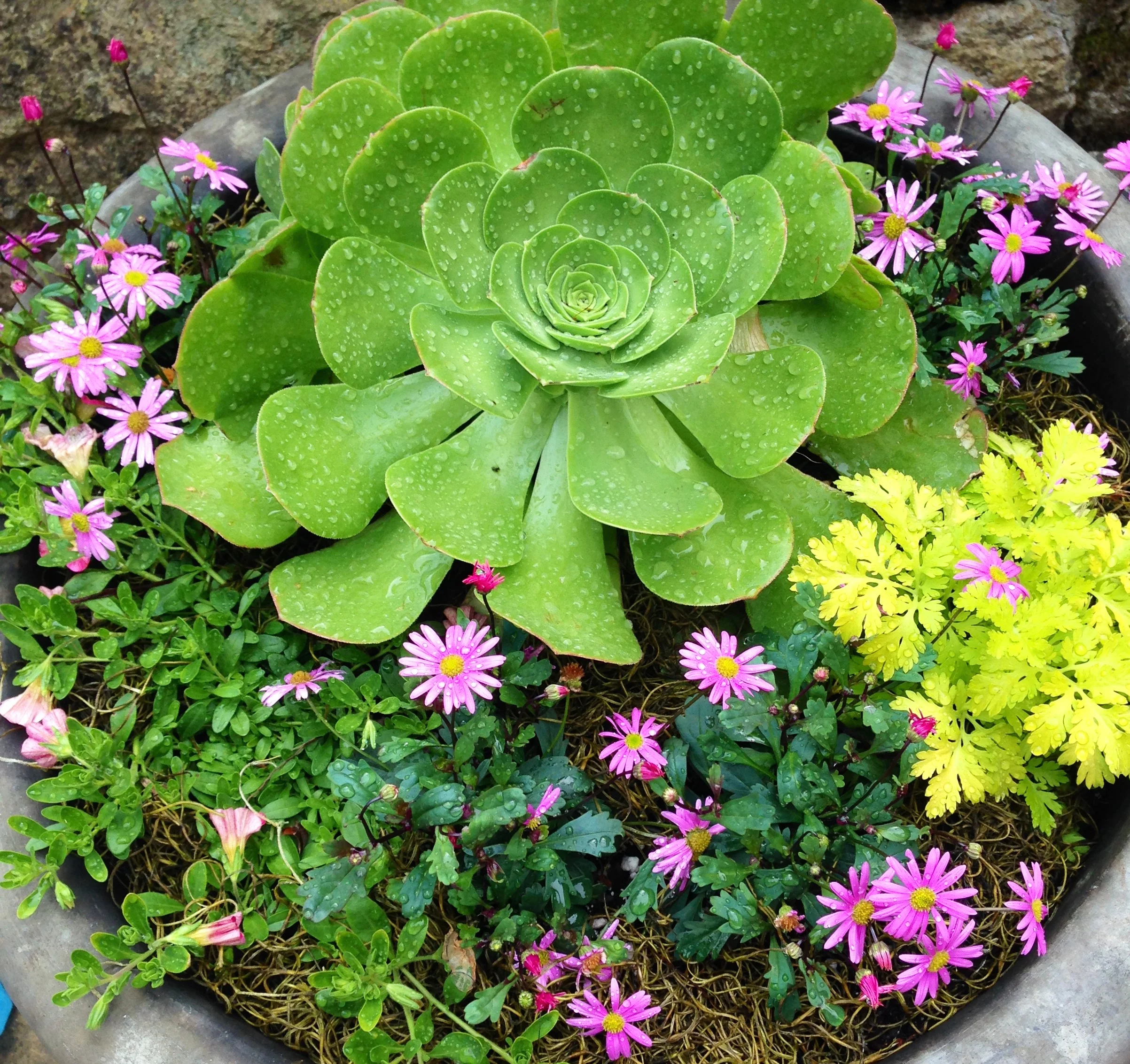 FullSizeRender (29).jpg