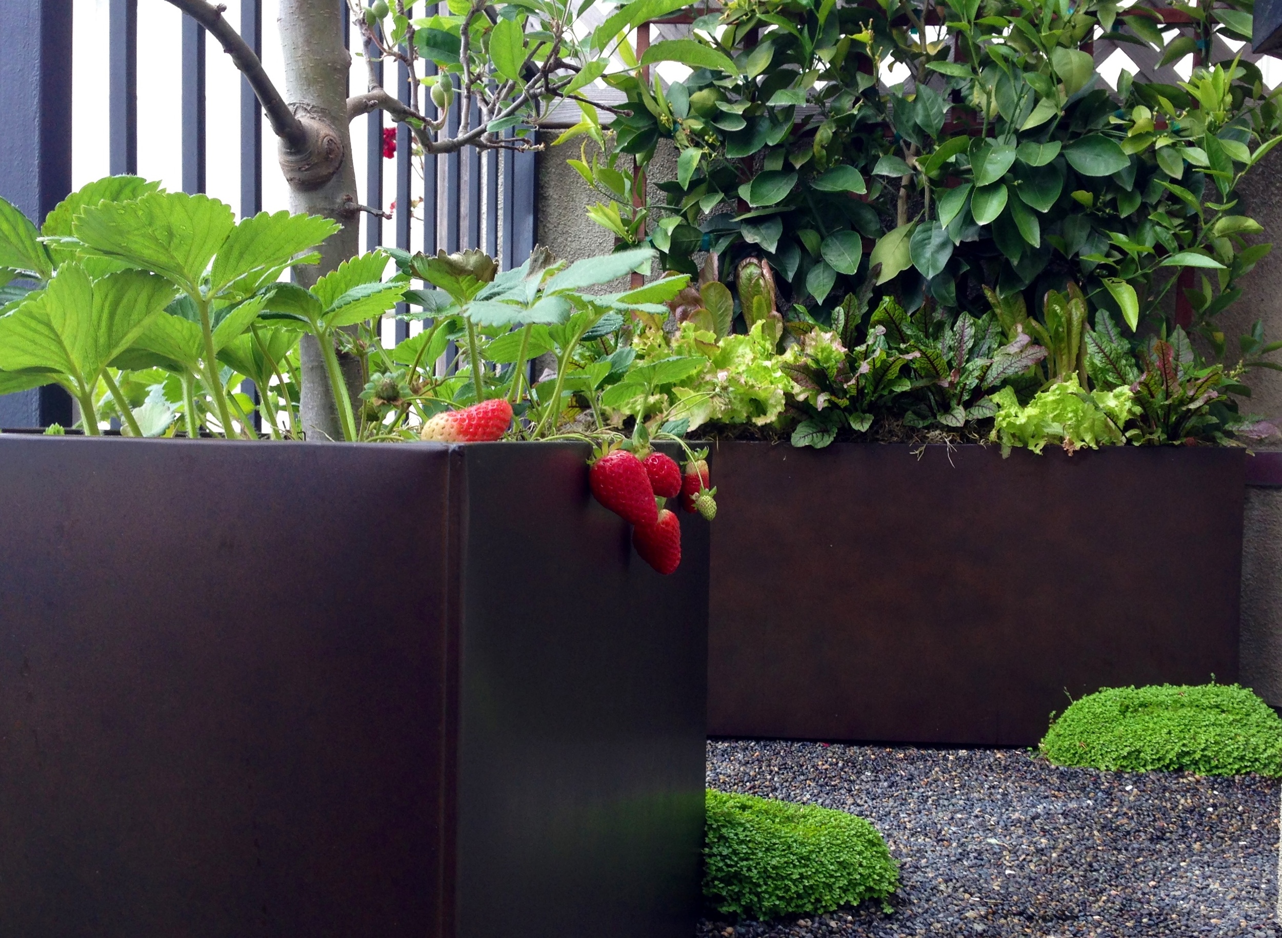 FIELD TRIP #2 - SAN FRANCISCO DECORATOR SHOW HOUSE