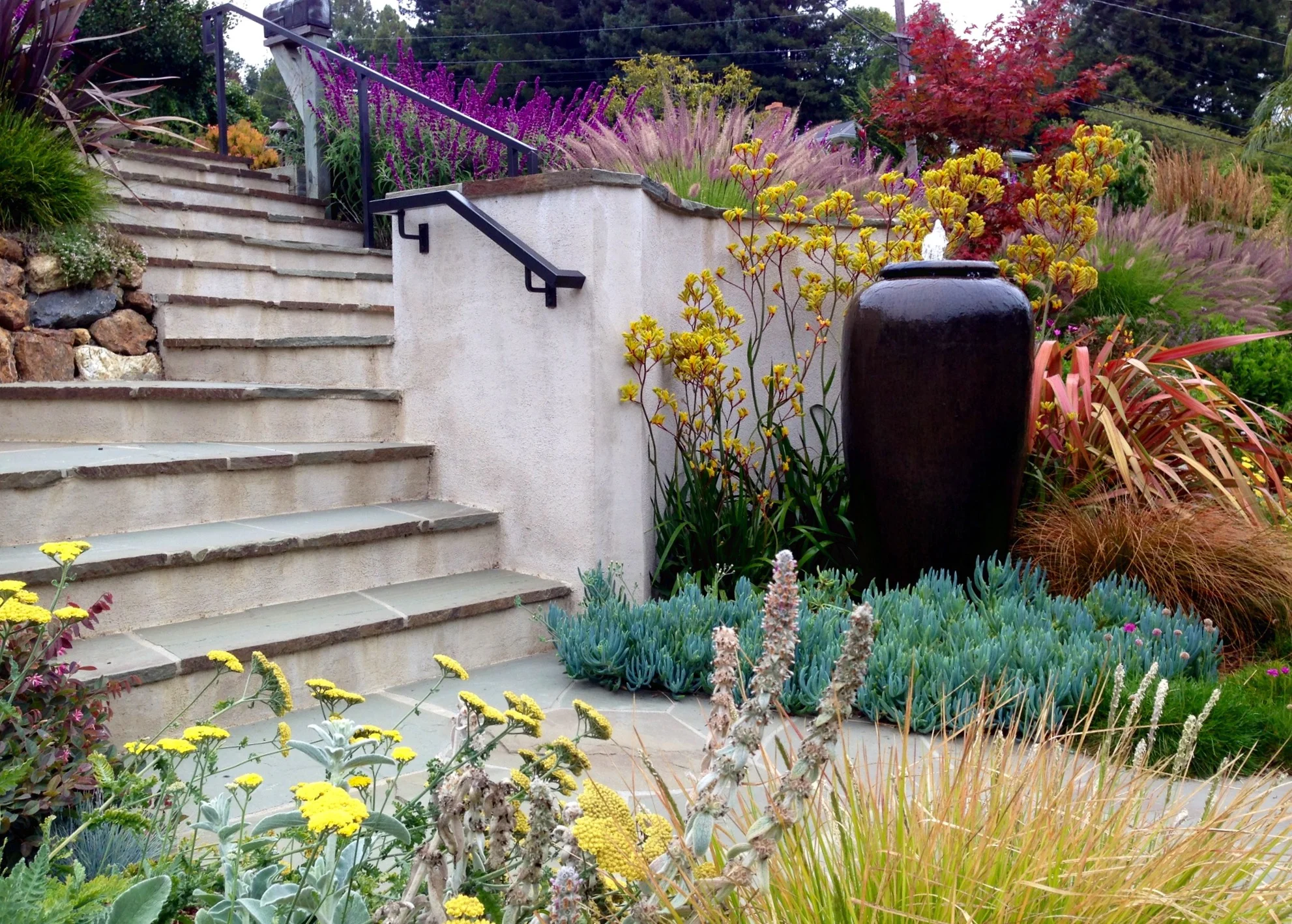 (installed by Lazar Landscape)