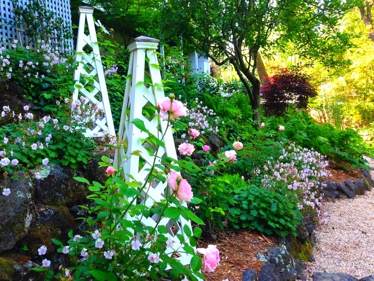 FIELD TRIP #3 - THE COLORS OF THE FRENCH COURT MEET THE MODERN ENGLISH ROSE