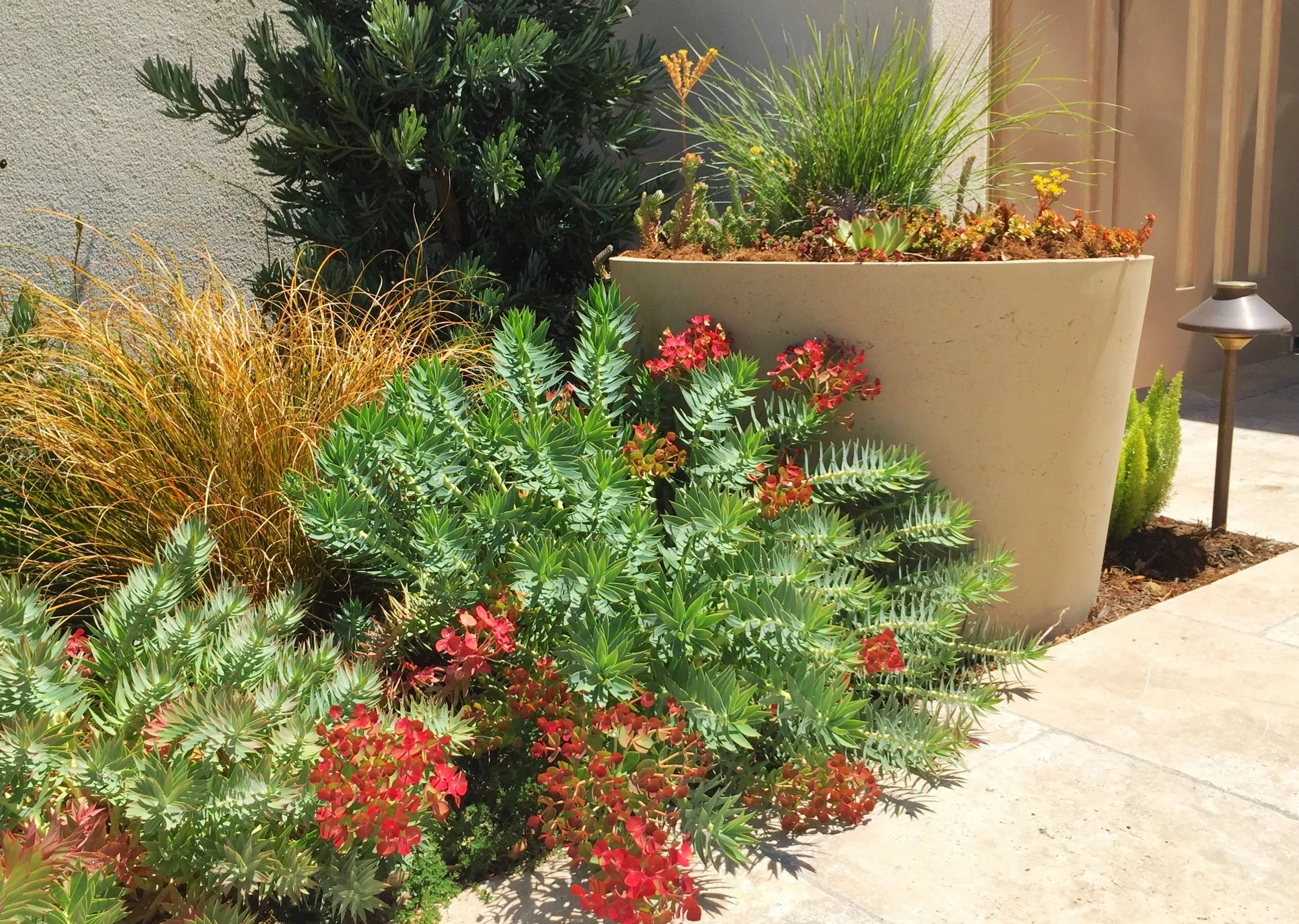 FullSizeRender (61).jpg