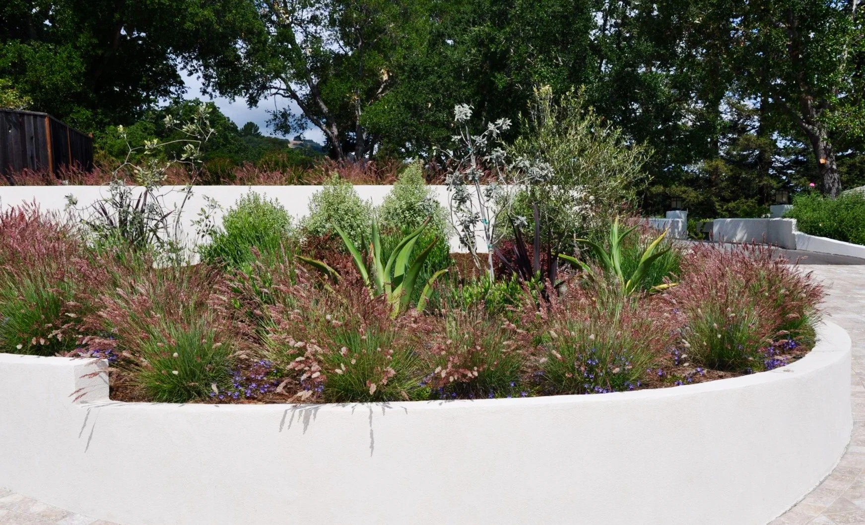 FullSizeRender (59).jpg