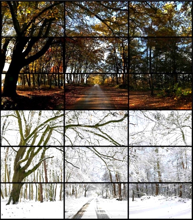 FIELD TRIP #4 - THE CHANGING SEASONS IN THE GARDEN