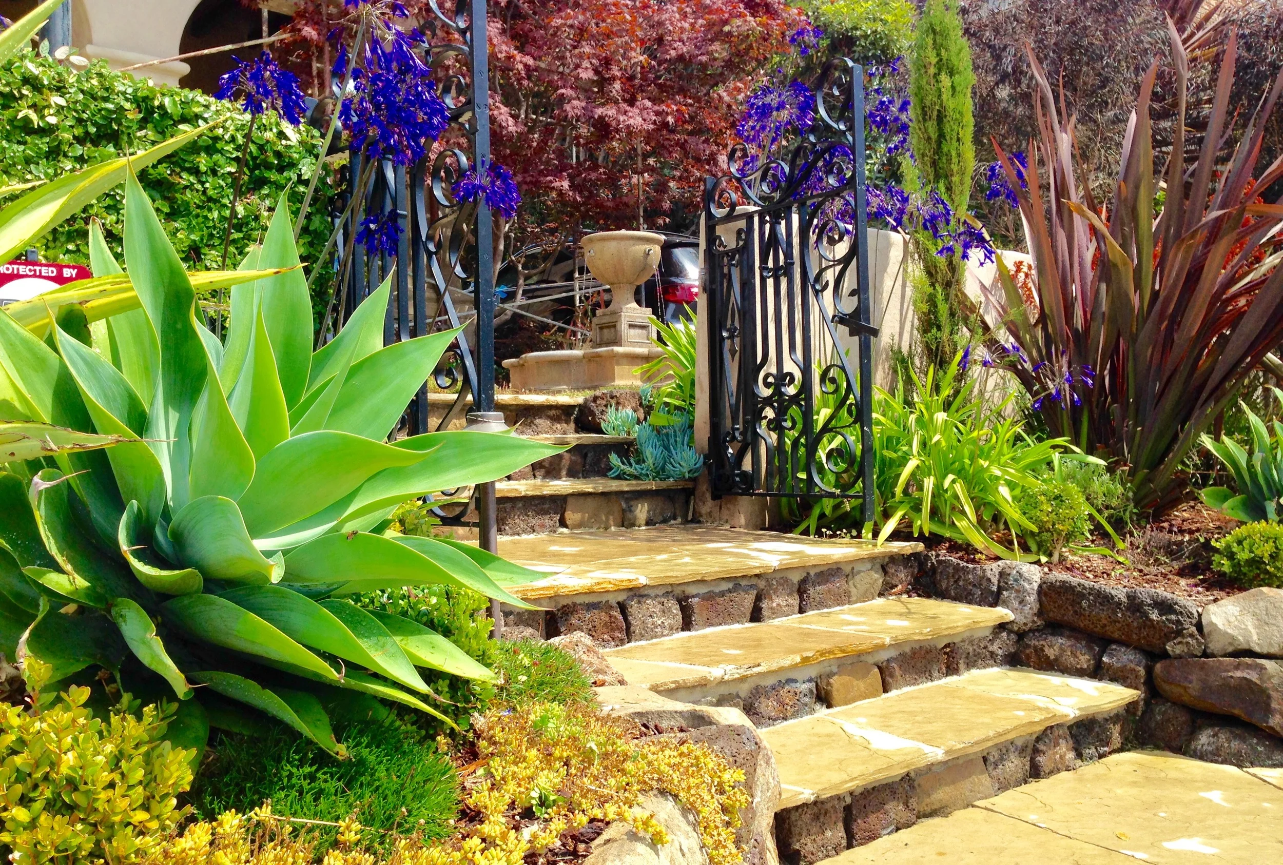 FullSizeRender (84).jpg