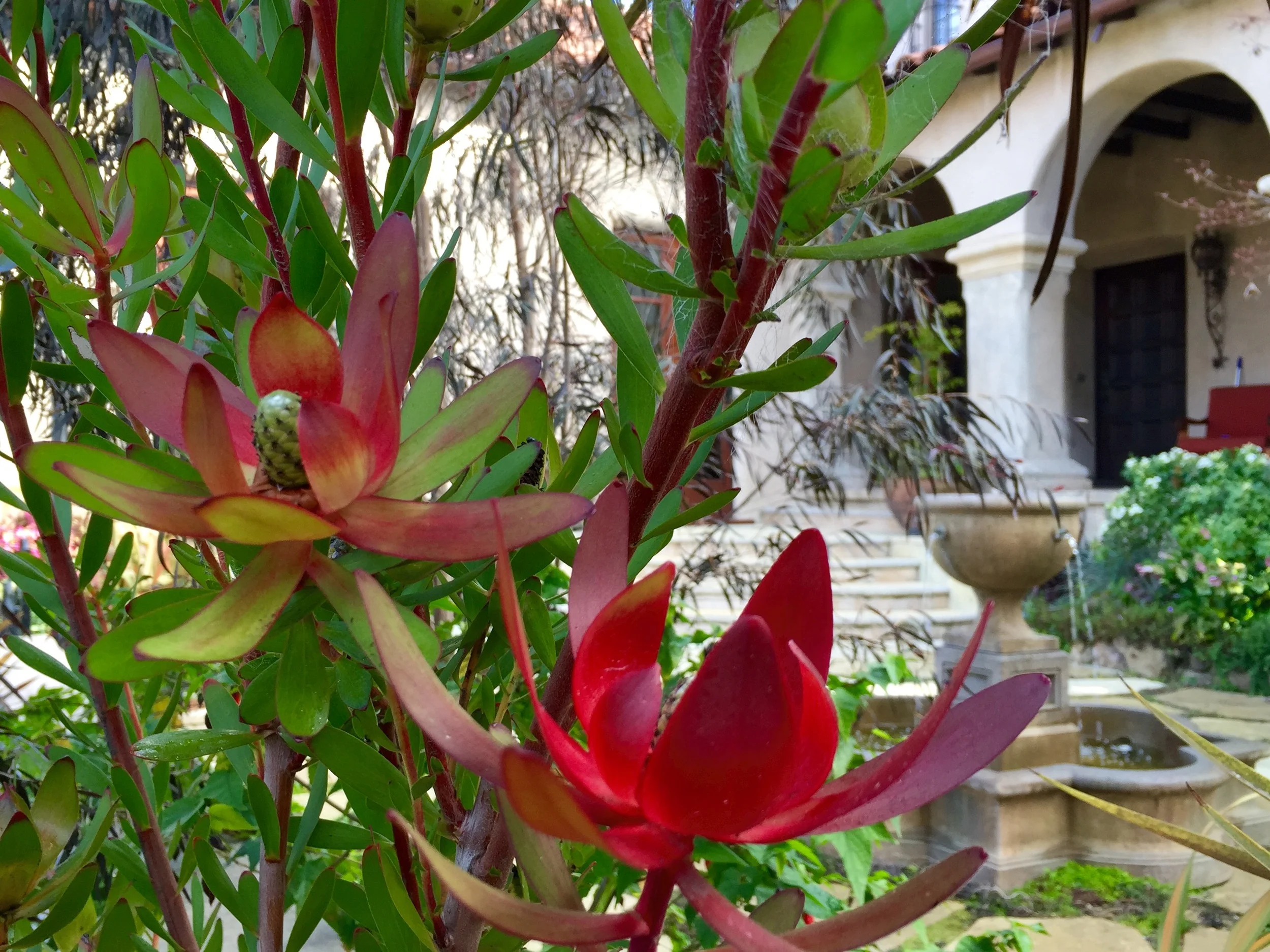 FullSizeRender (7).jpg