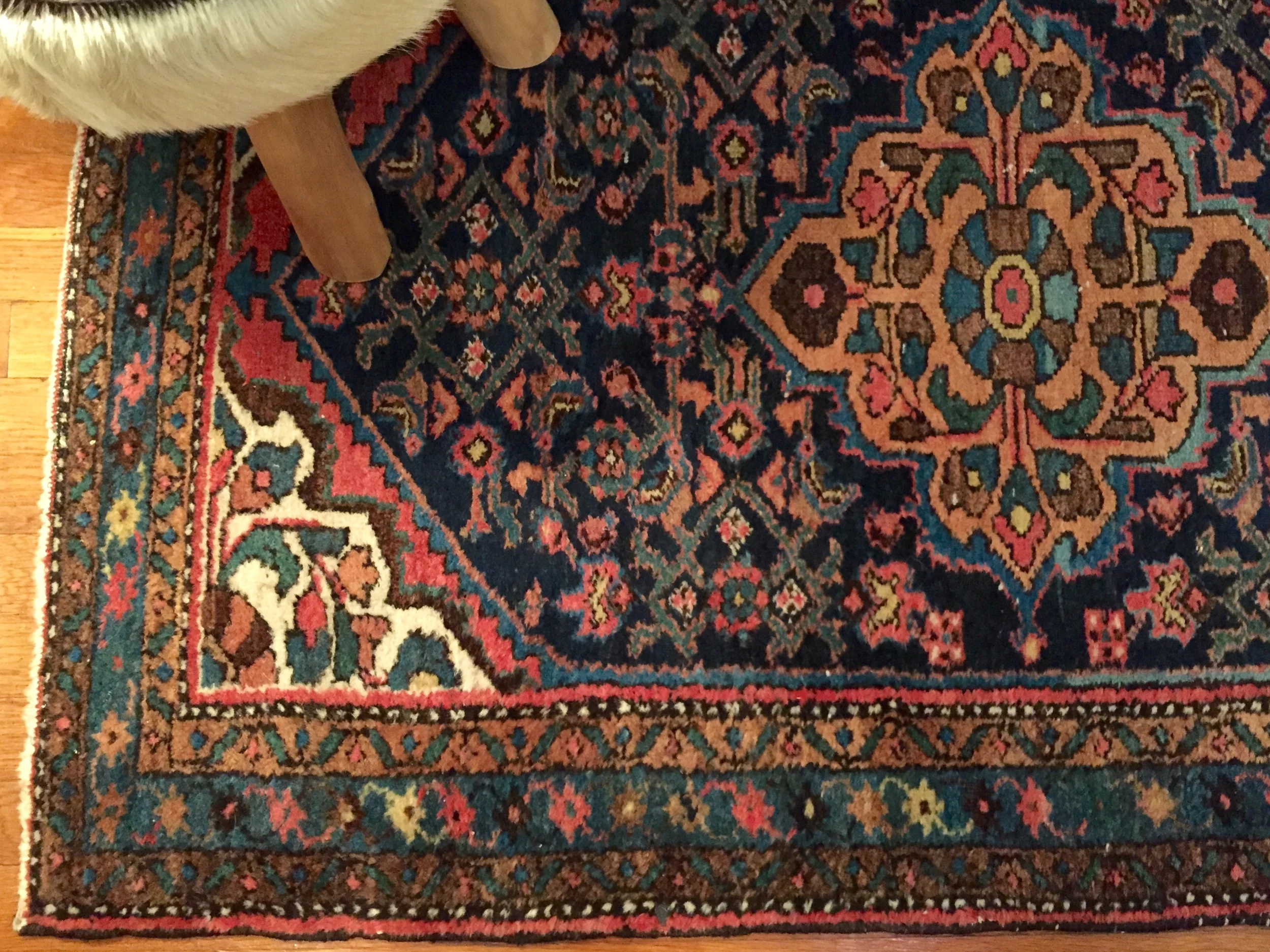 Close-up of Persian Rug.