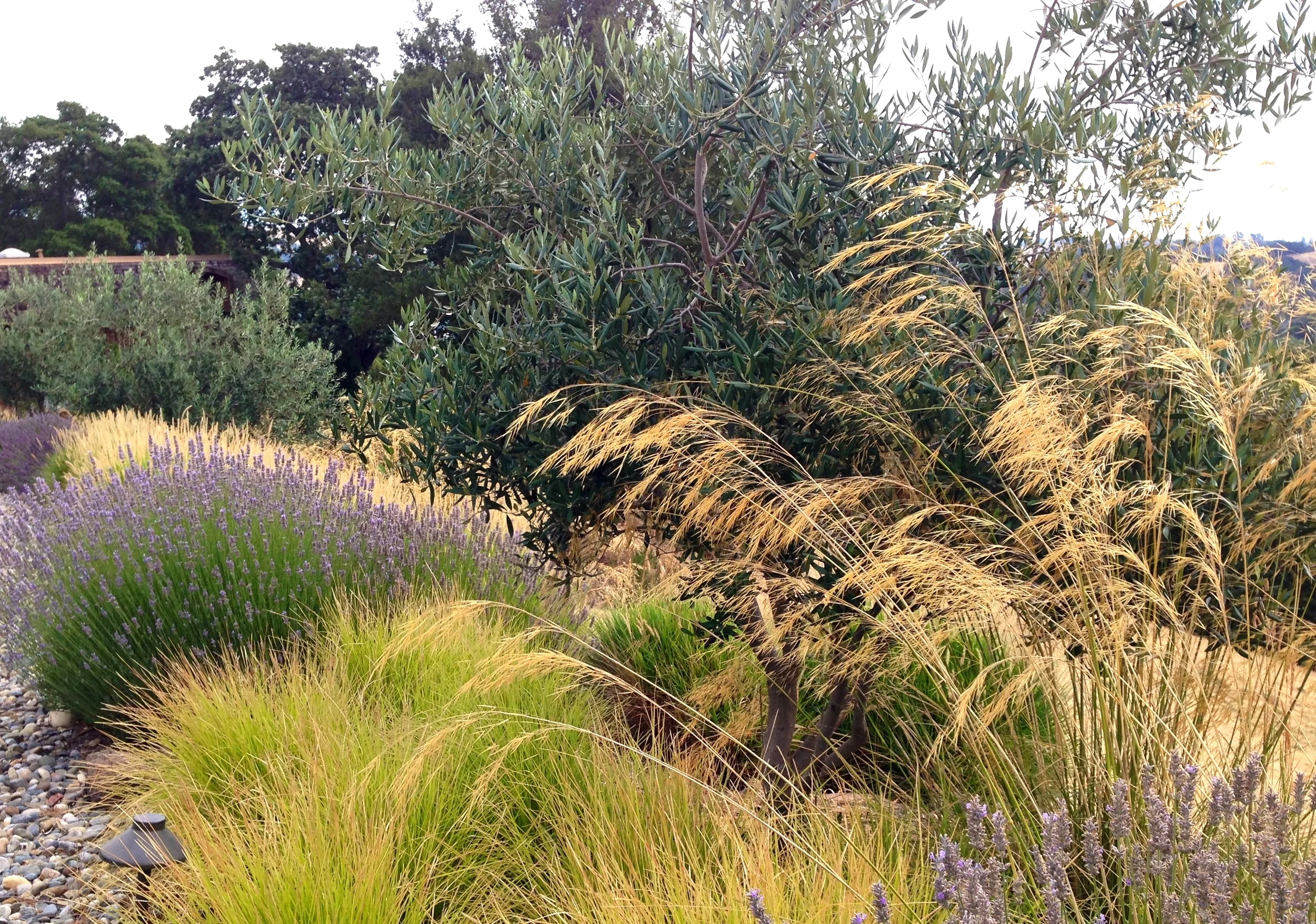 FullSizeRender (13).jpg