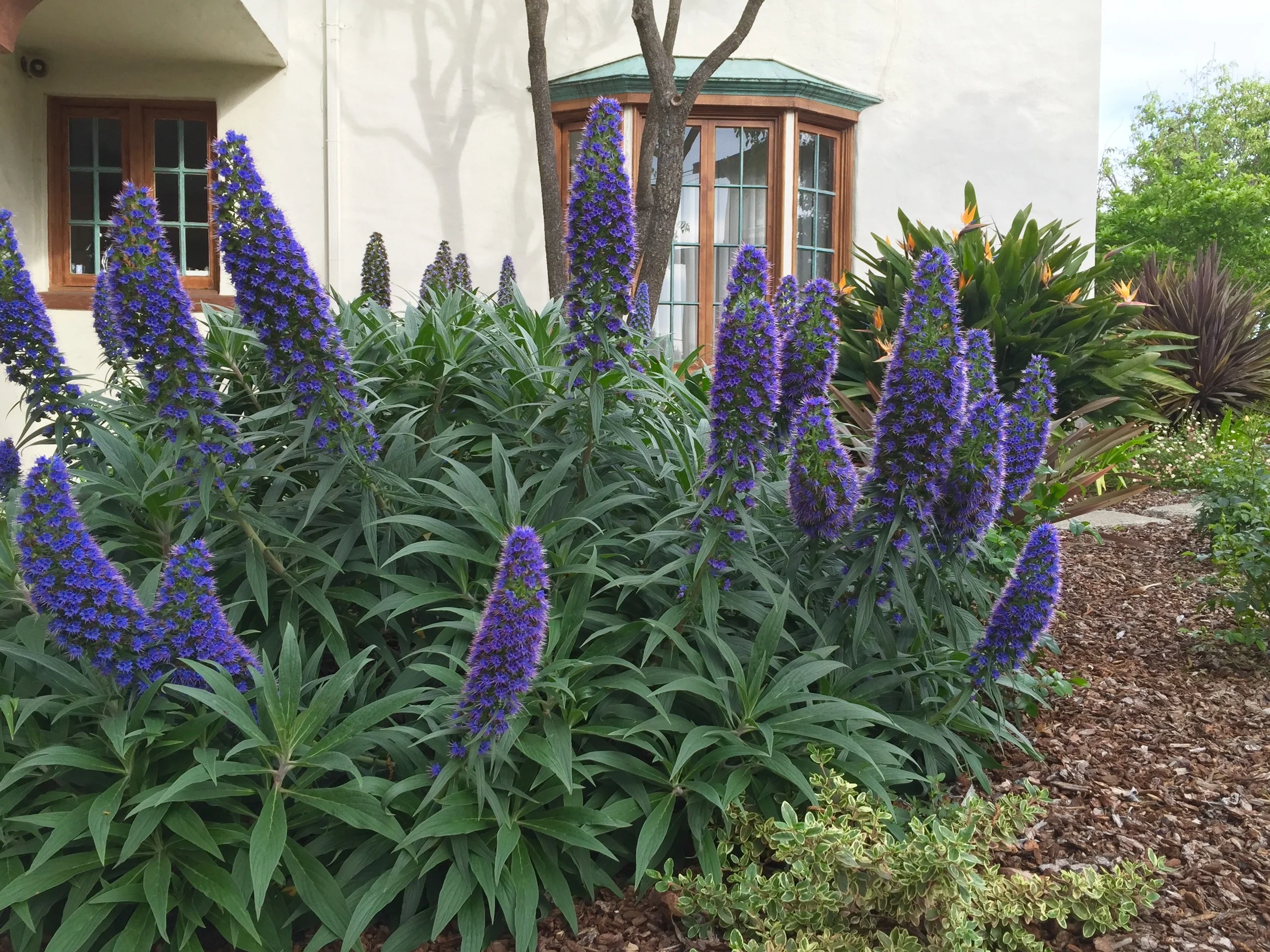 FullSizeRender (4).jpg