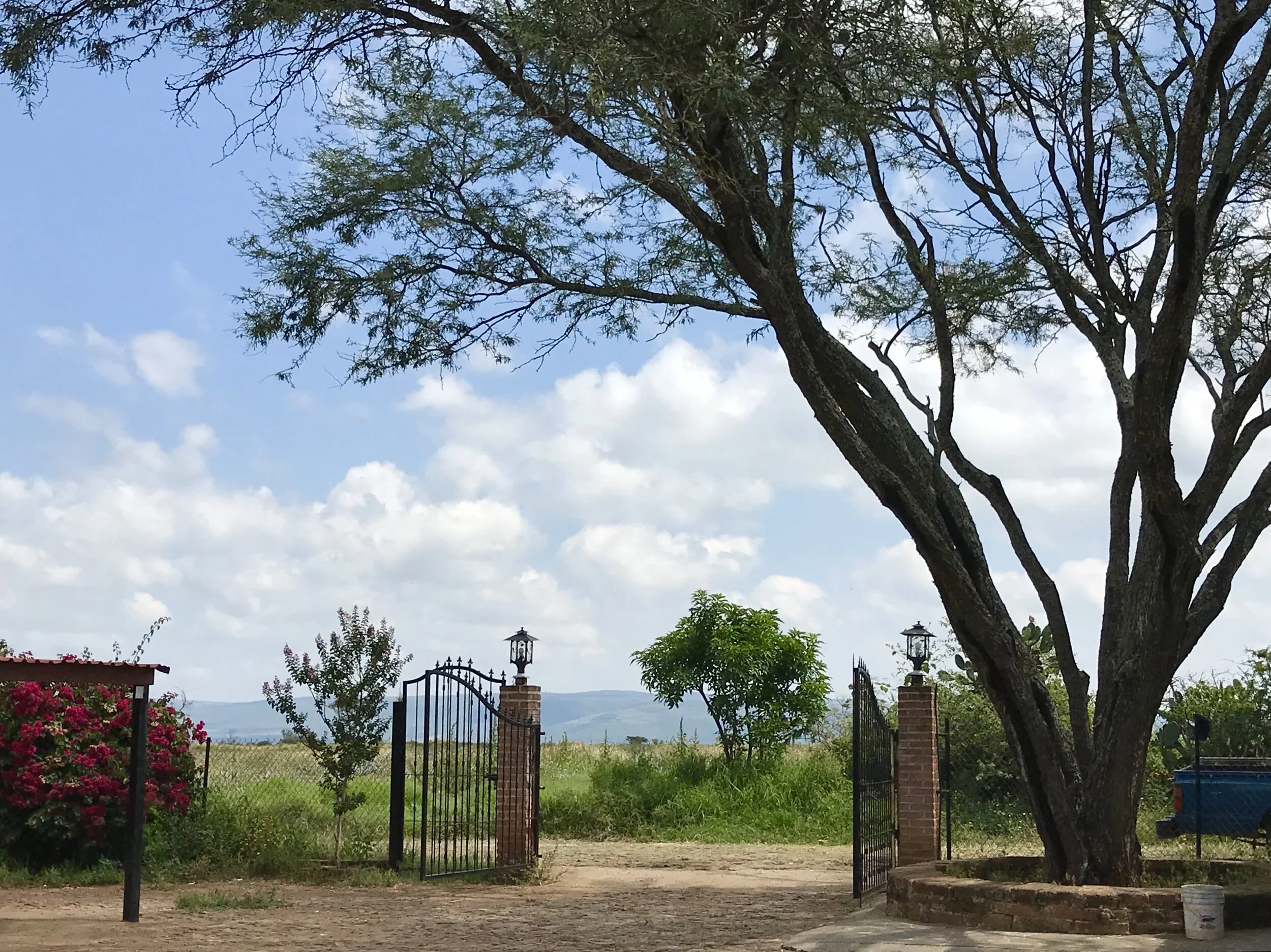 Yahualica de Gonzalez Gallo, Mexico