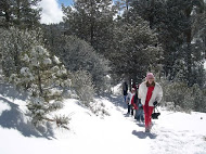 Winter at Wrightwood