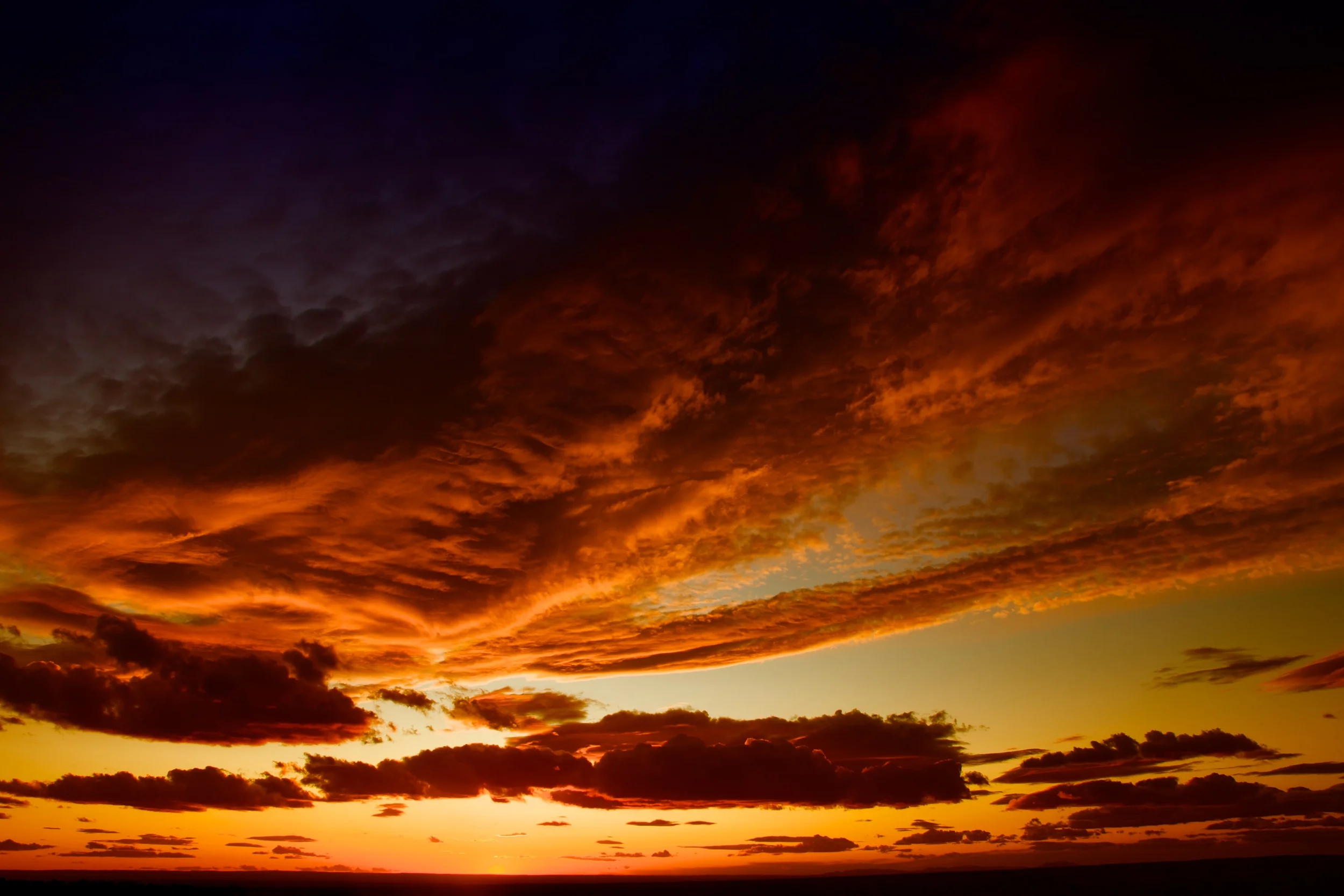 Arizona Sunset