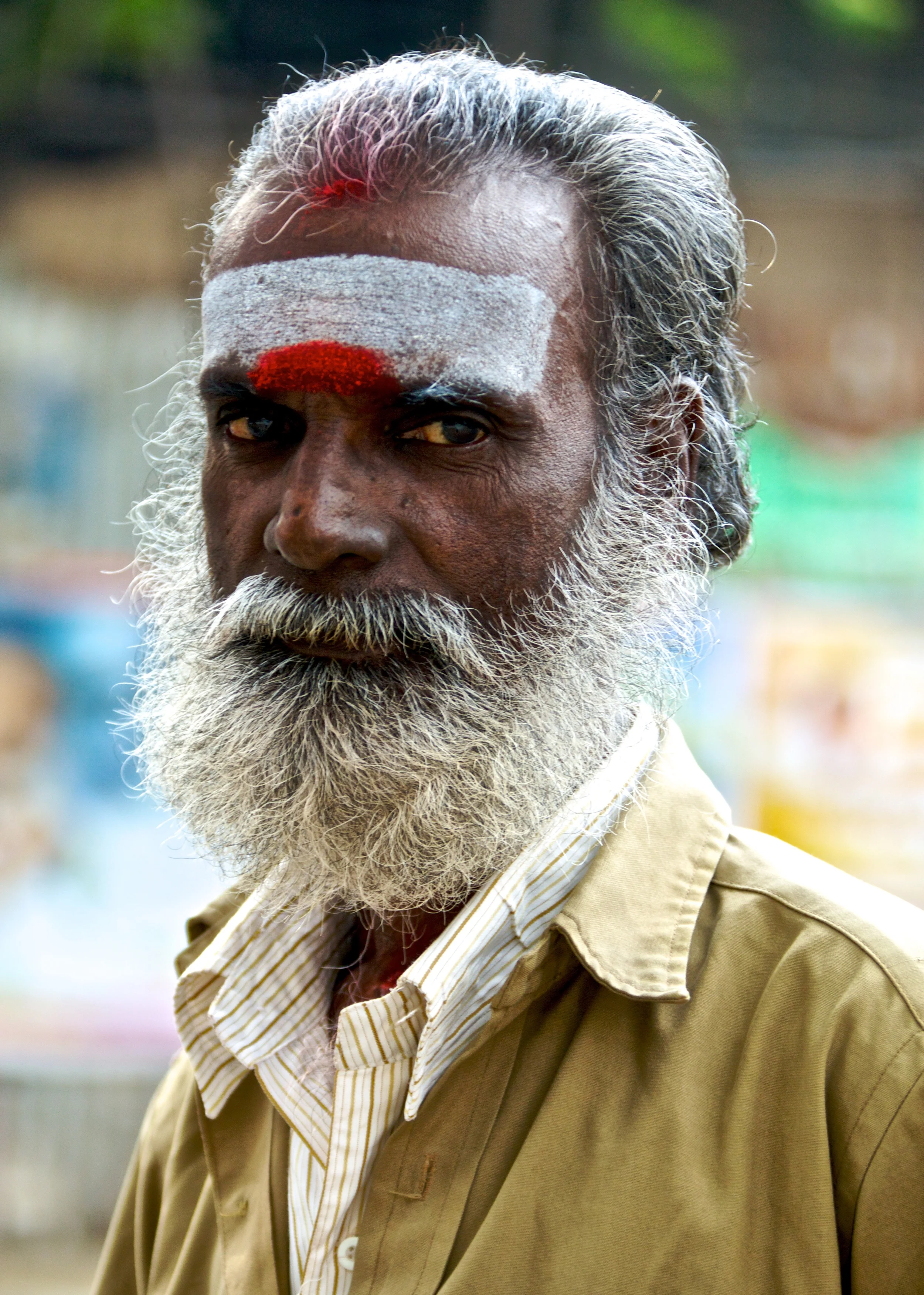 Auto Driver