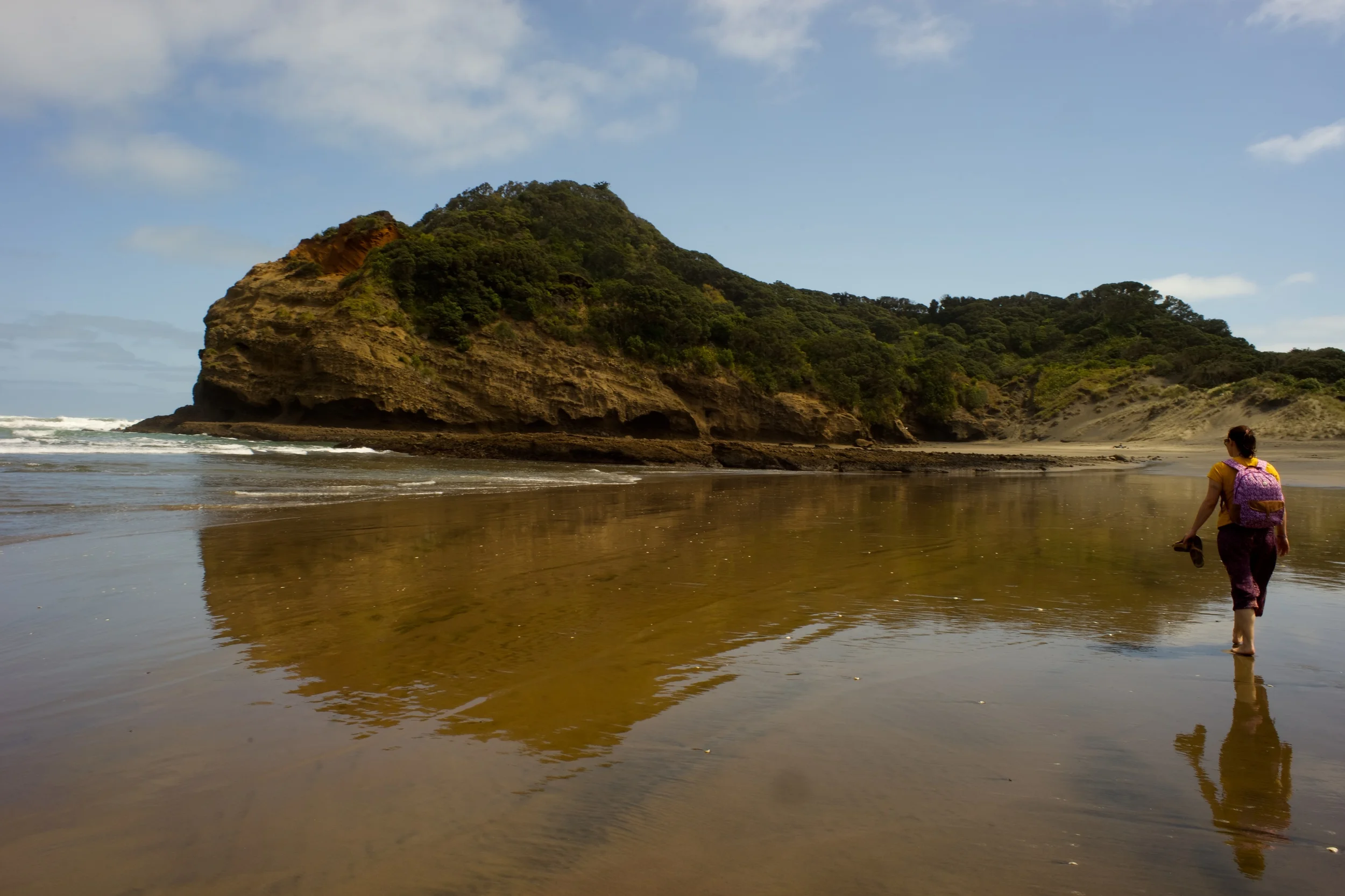 Bethells Beach