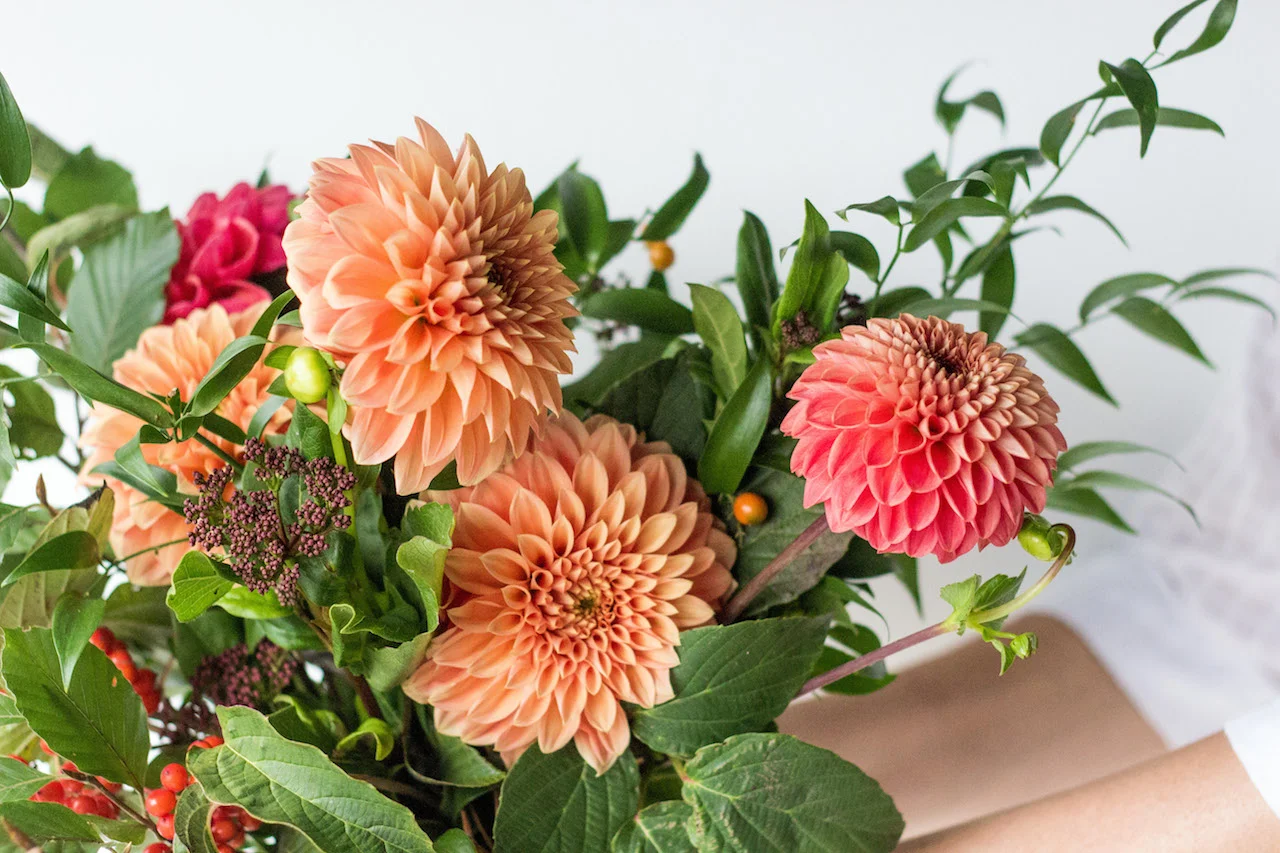 Orange-dahlia-1602.jpg