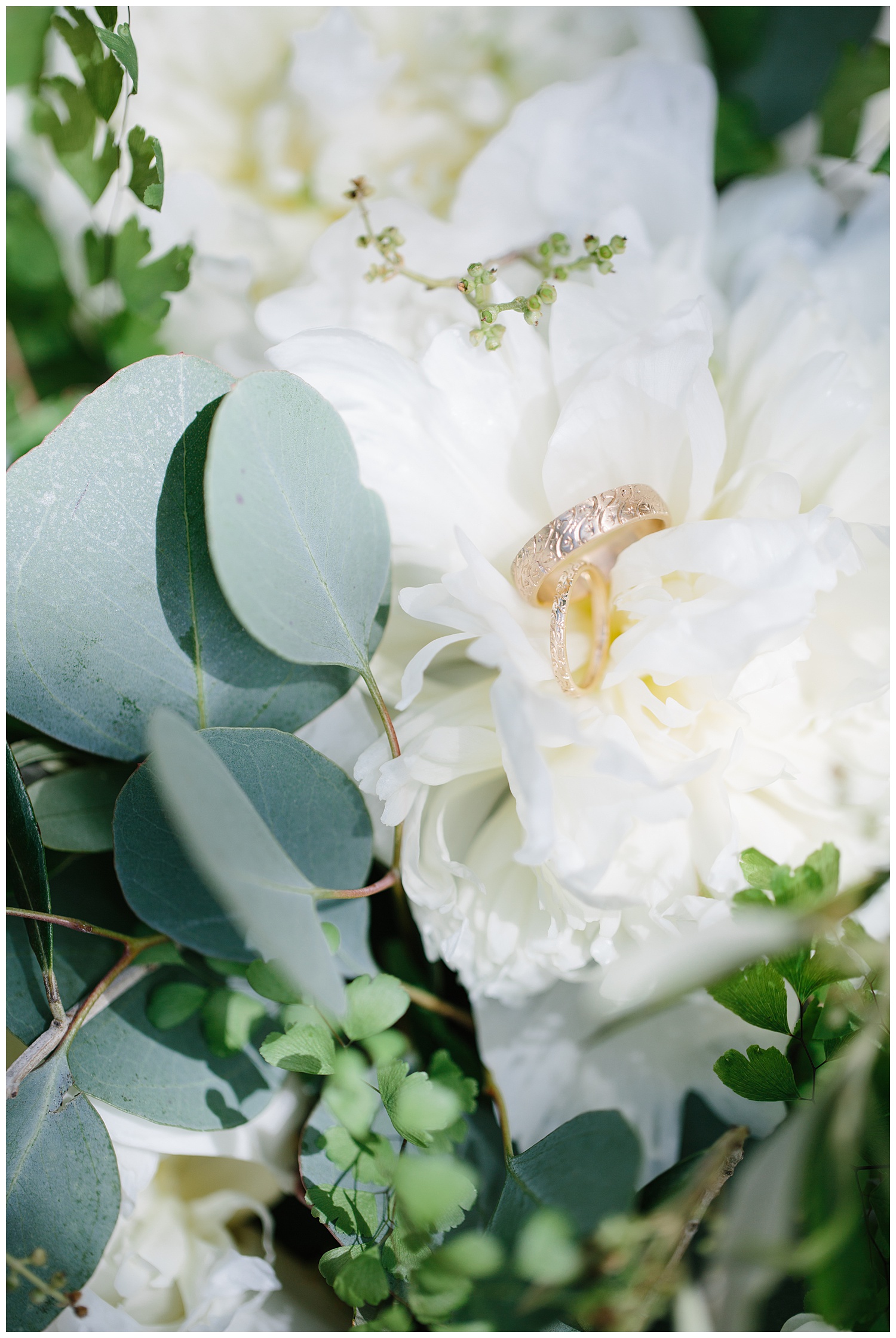 Tyler + Brynn + Botanical Gardens + Roger Williams + Rhode Island + Wedding_0001.jpg