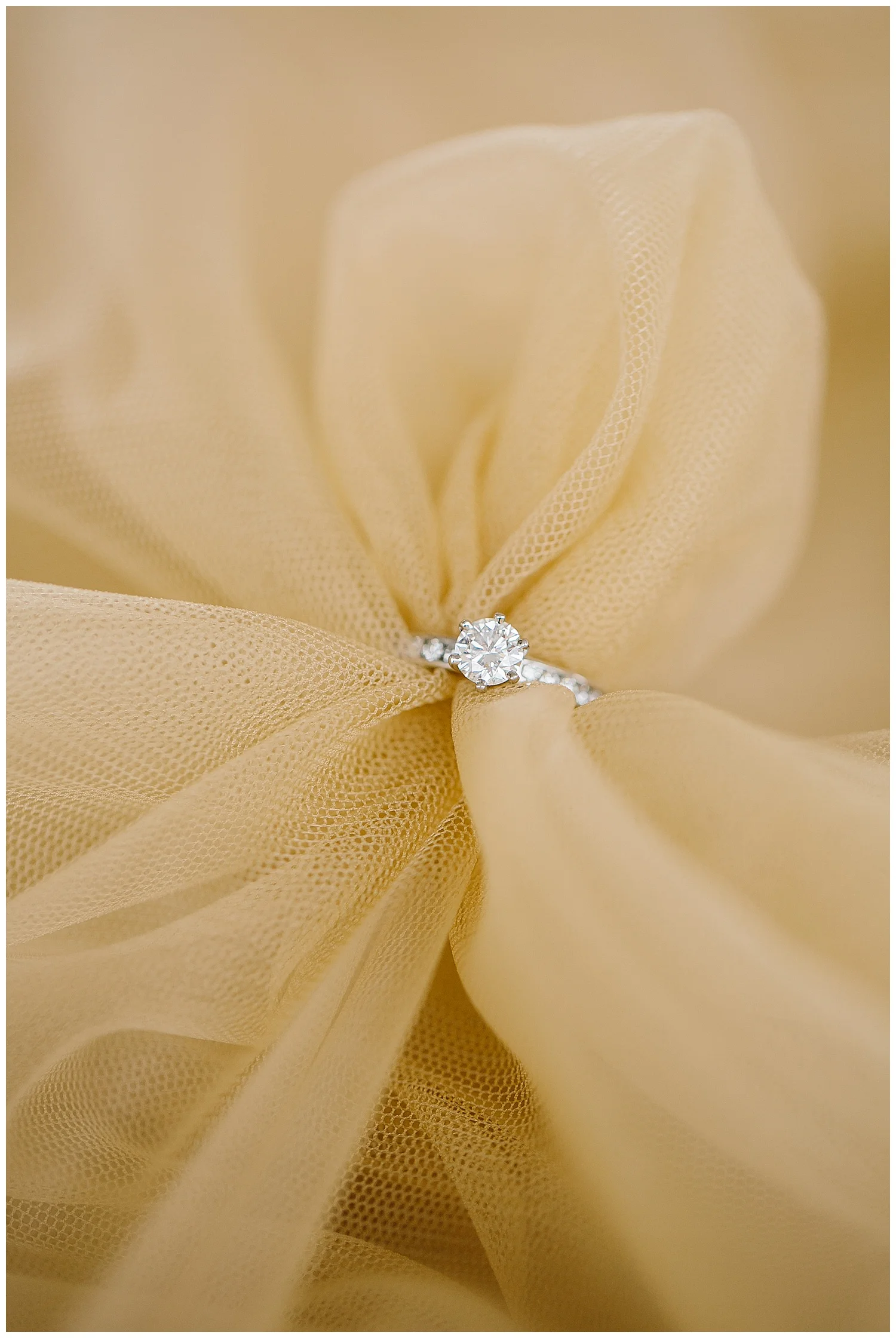 topsl farm styled shoot_0548.jpg