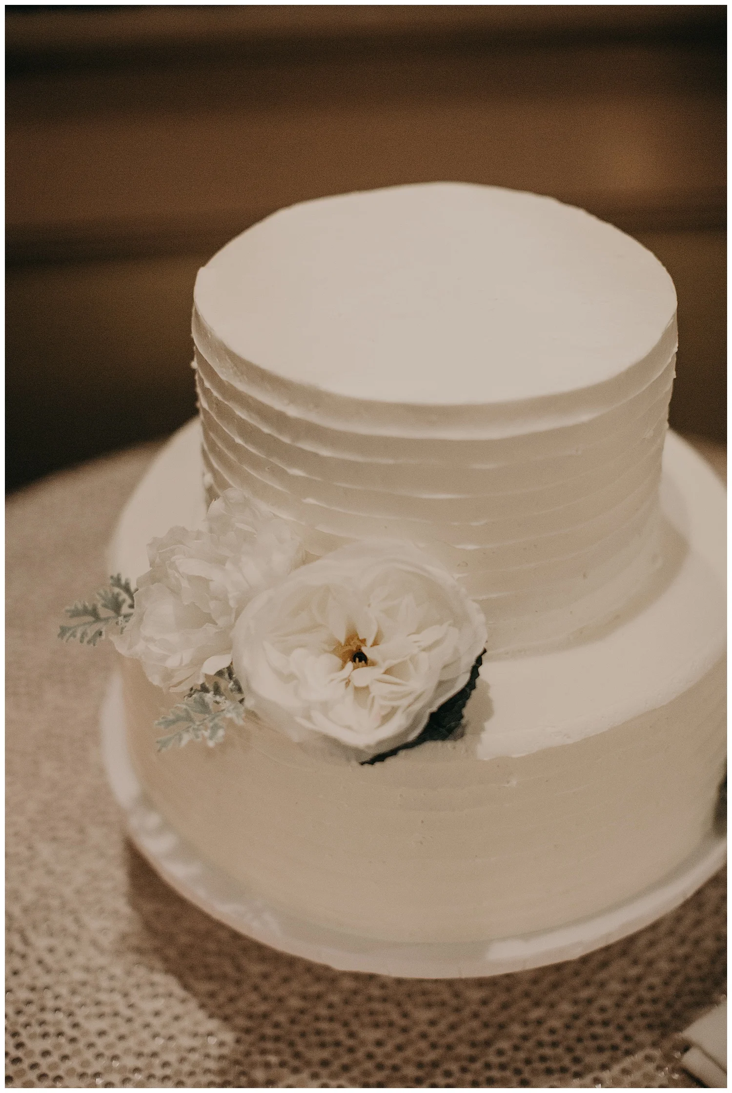 Mike_Kelly_Hotel_Viking_Newport_Rhode_Island_Wedding_023.jpeg